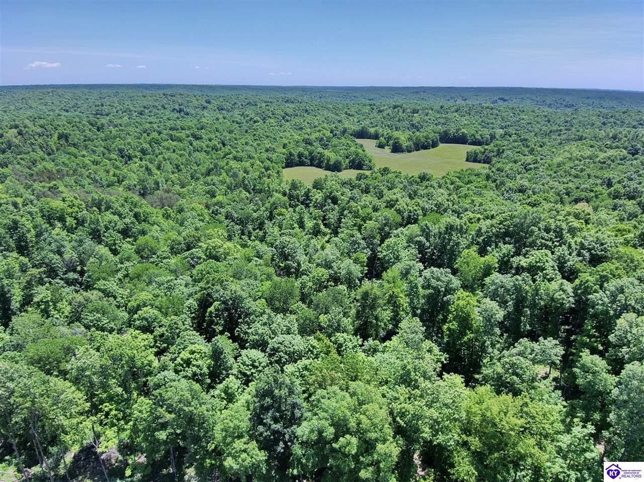 Edmonton, Metcalfe County, KY Undeveloped Land, Lakefront Property