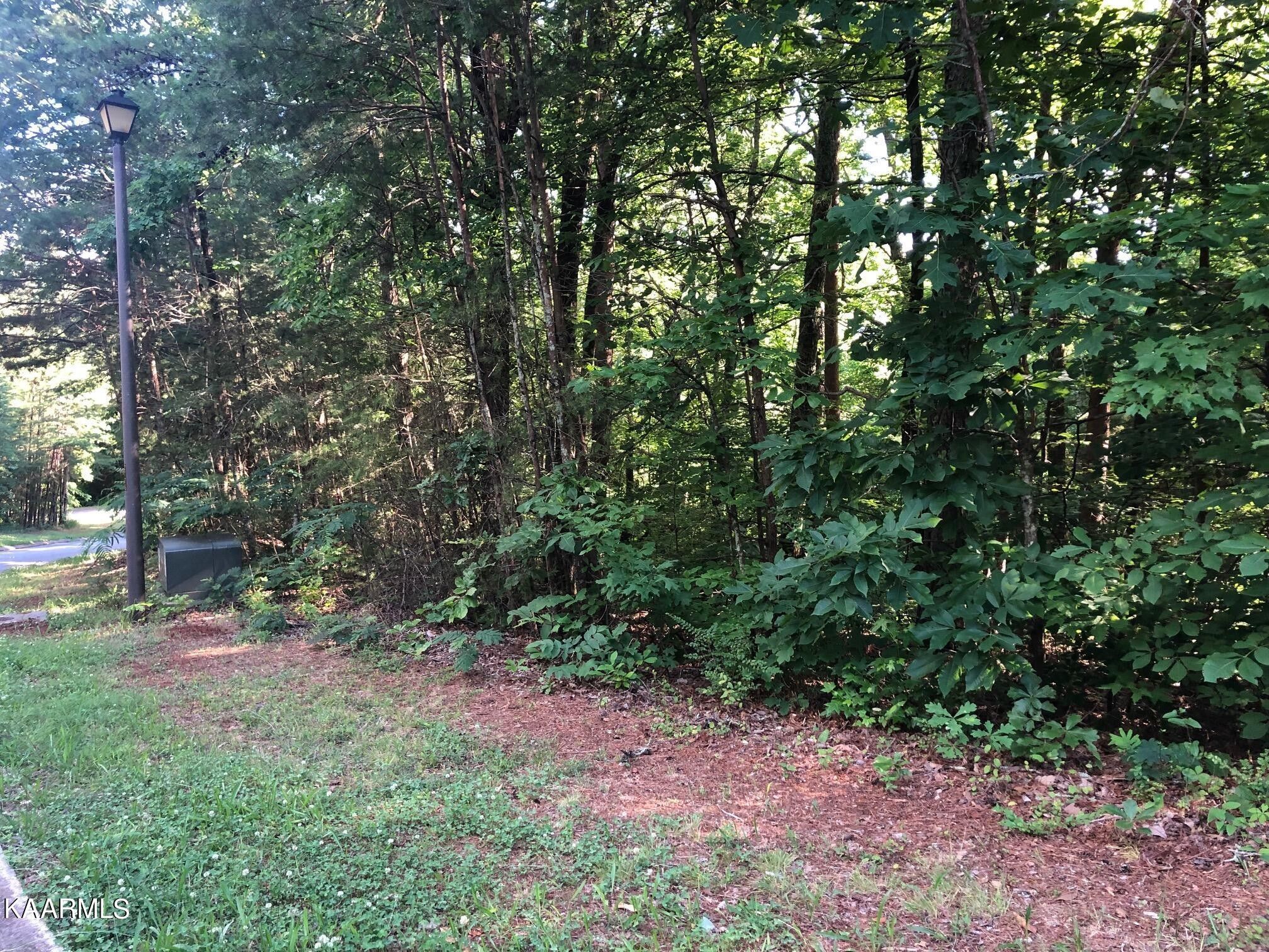 Athens, McMinn County, TN Undeveloped Land, Homesites for sale Property