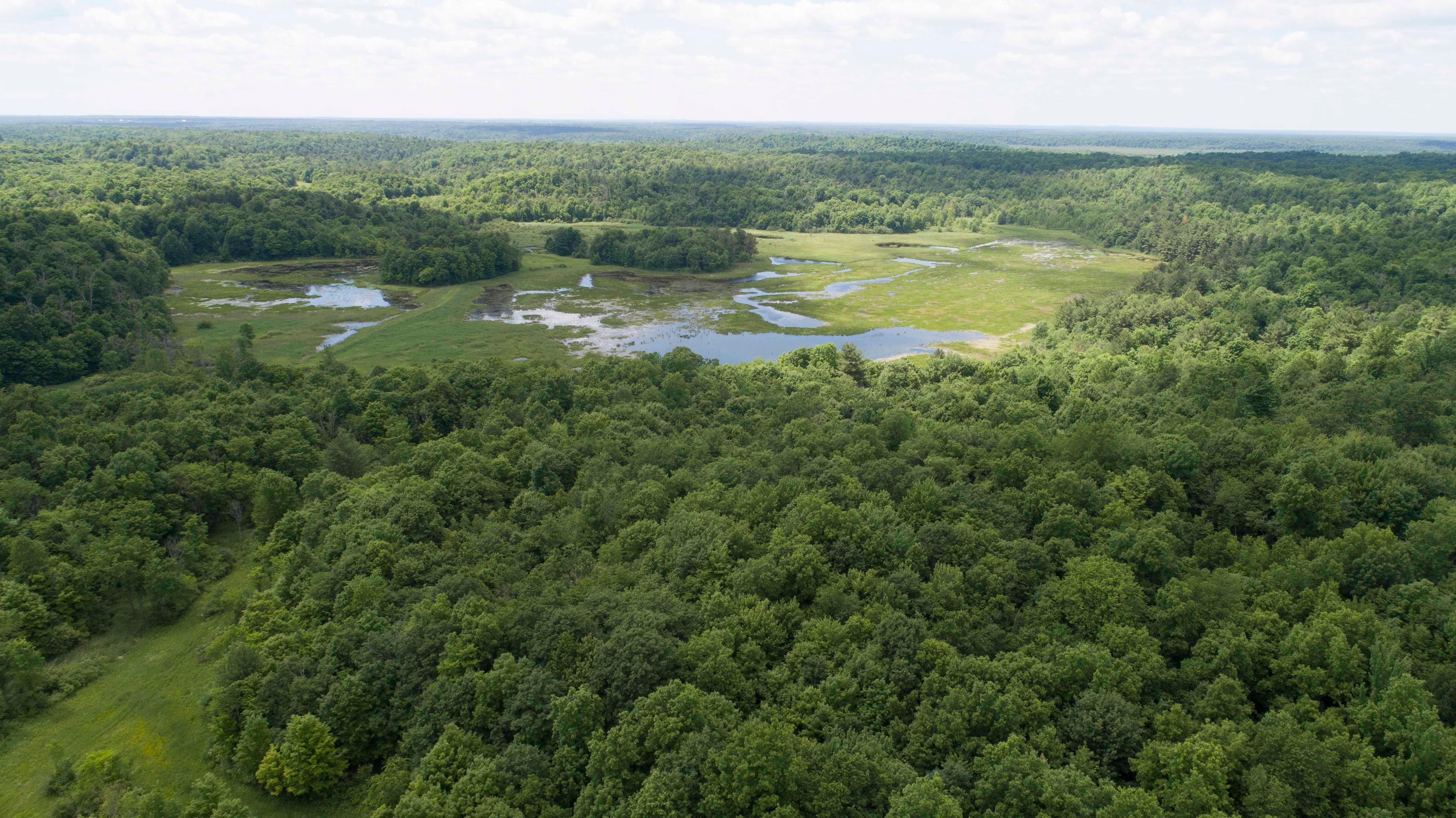 Antwerp, Jefferson County, NY Recreational Property, Undeveloped Land