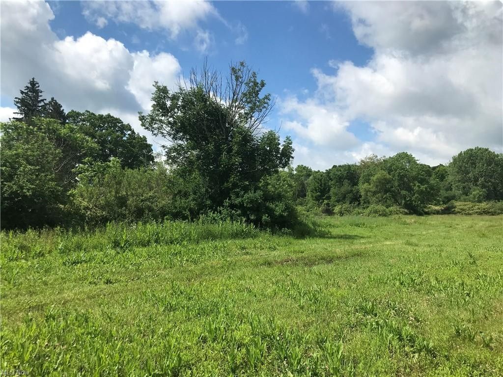 Mantua, Portage County, OH Undeveloped Land for sale Property ID