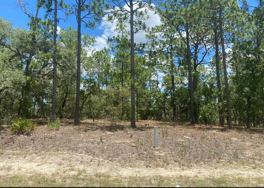 Citrus Springs, Citrus County, FL Recreational Property, Undeveloped