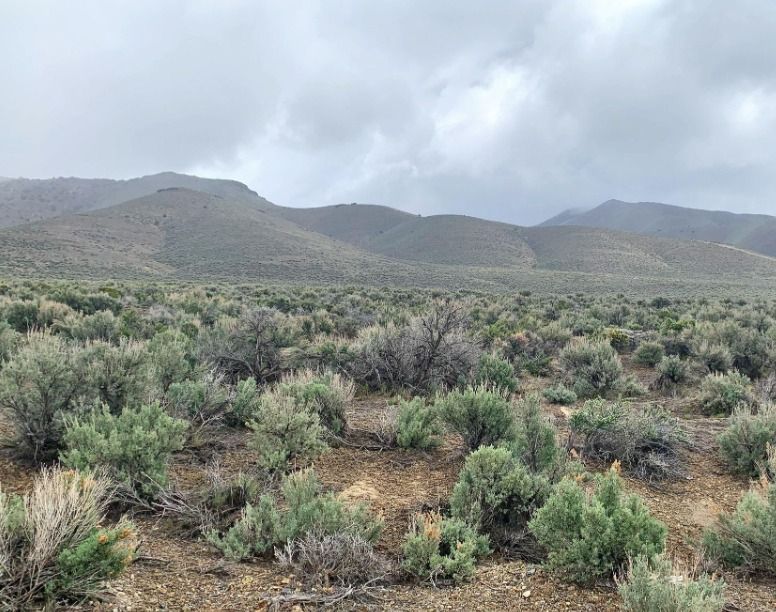 Mill City, Pershing County, NV Recreational Property, Undeveloped Land