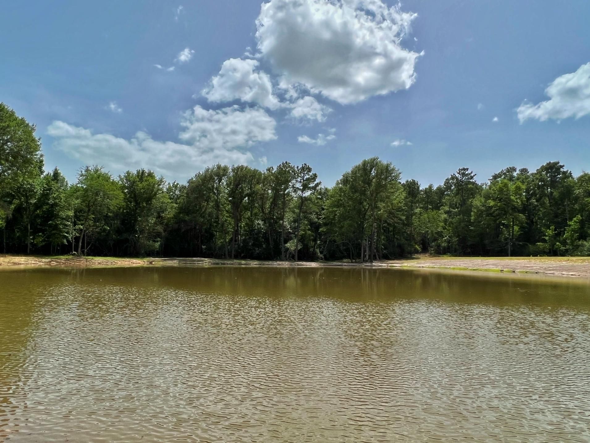 Oakwood, Leon County, TX Recreational Property, Undeveloped Land
