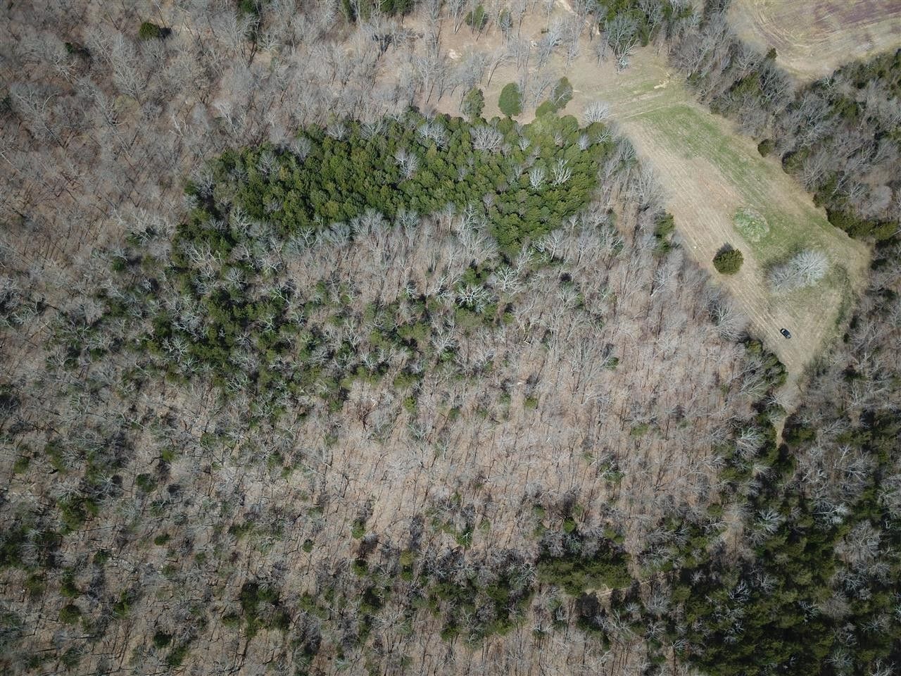 Russellville, Logan County, KY Undeveloped Land for sale Property ID