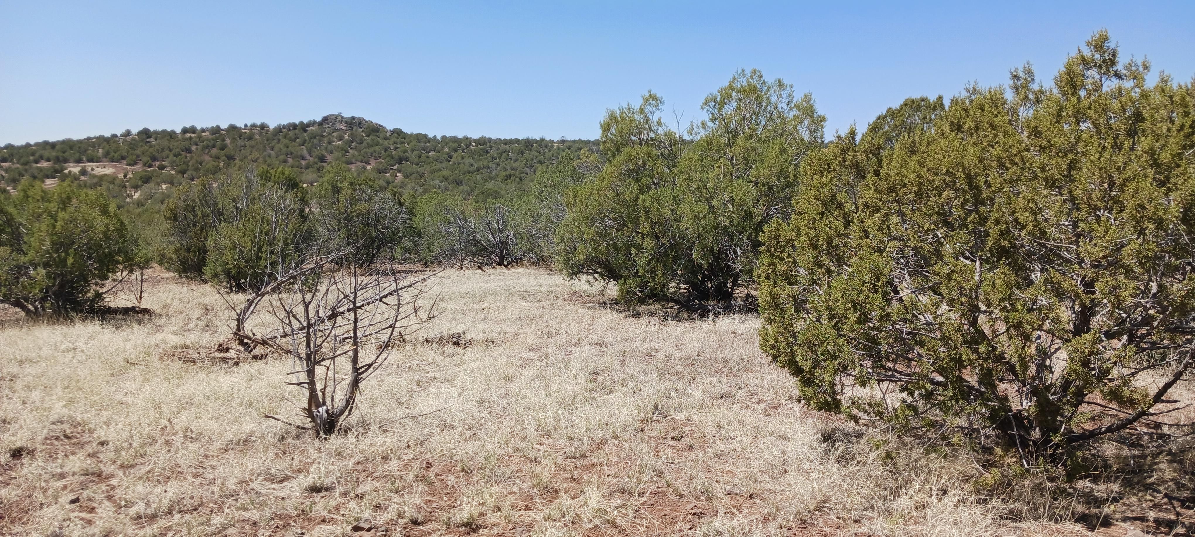 Williams, Coconino County, AZ Recreational Property, Undeveloped Land