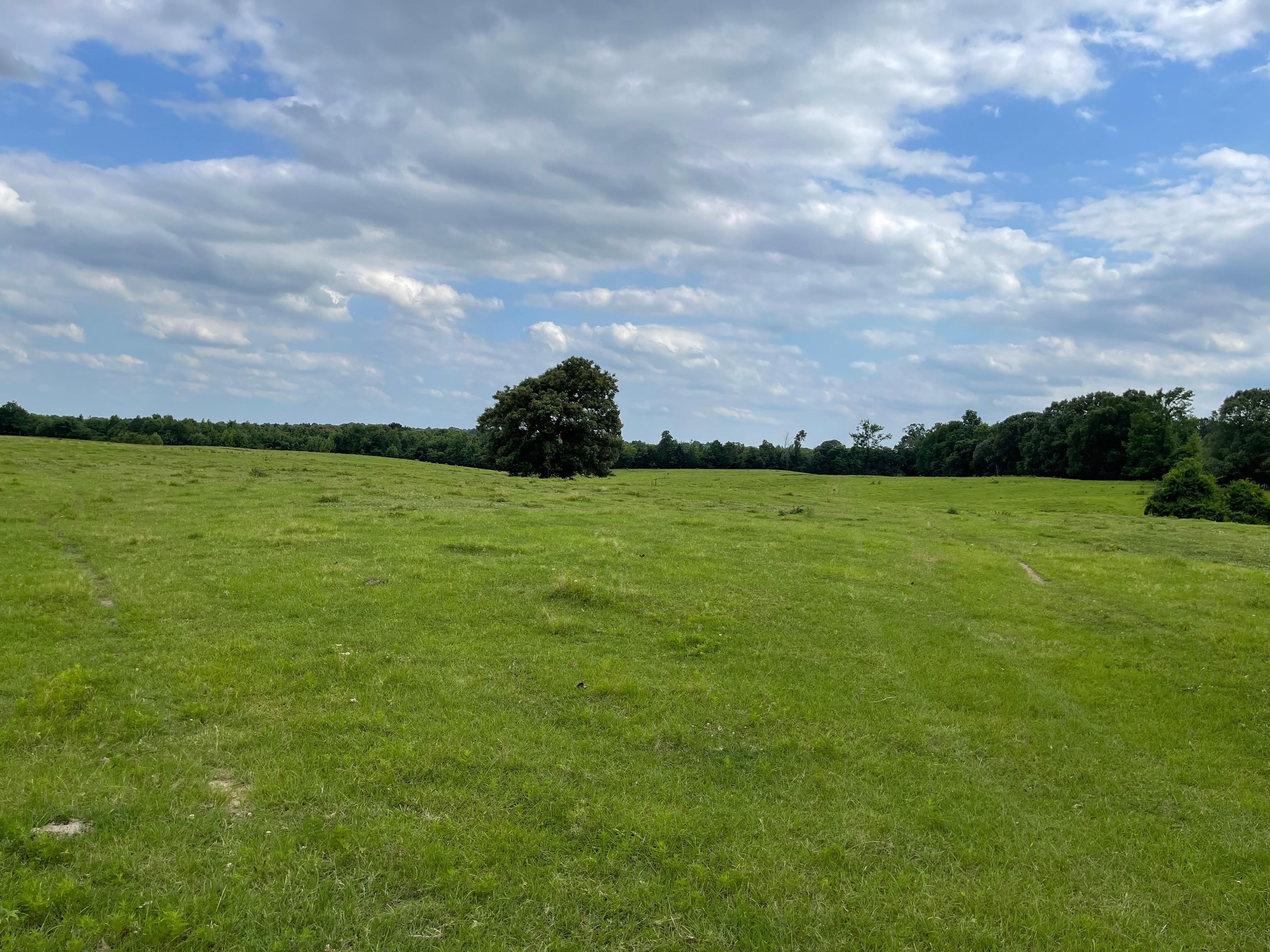 320 acres in Idabel, OK, 74745 LandWatch