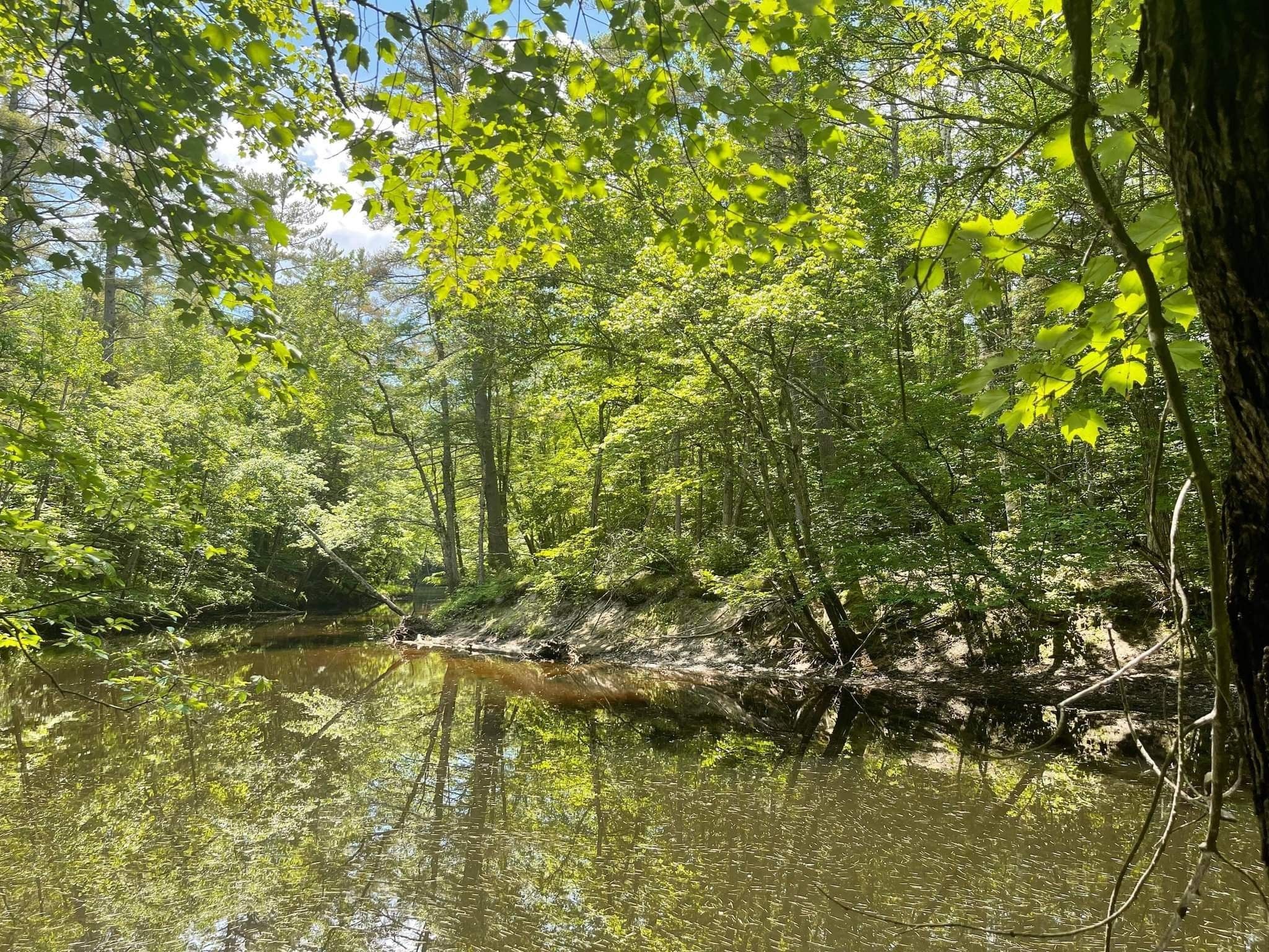 Andover, Merrimack County, NH Undeveloped Land for sale Property ID