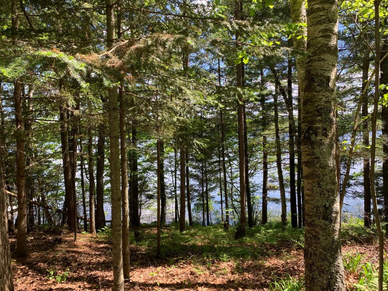 Woodruff, Oneida County, WI Lakefront Property, Waterfront Property