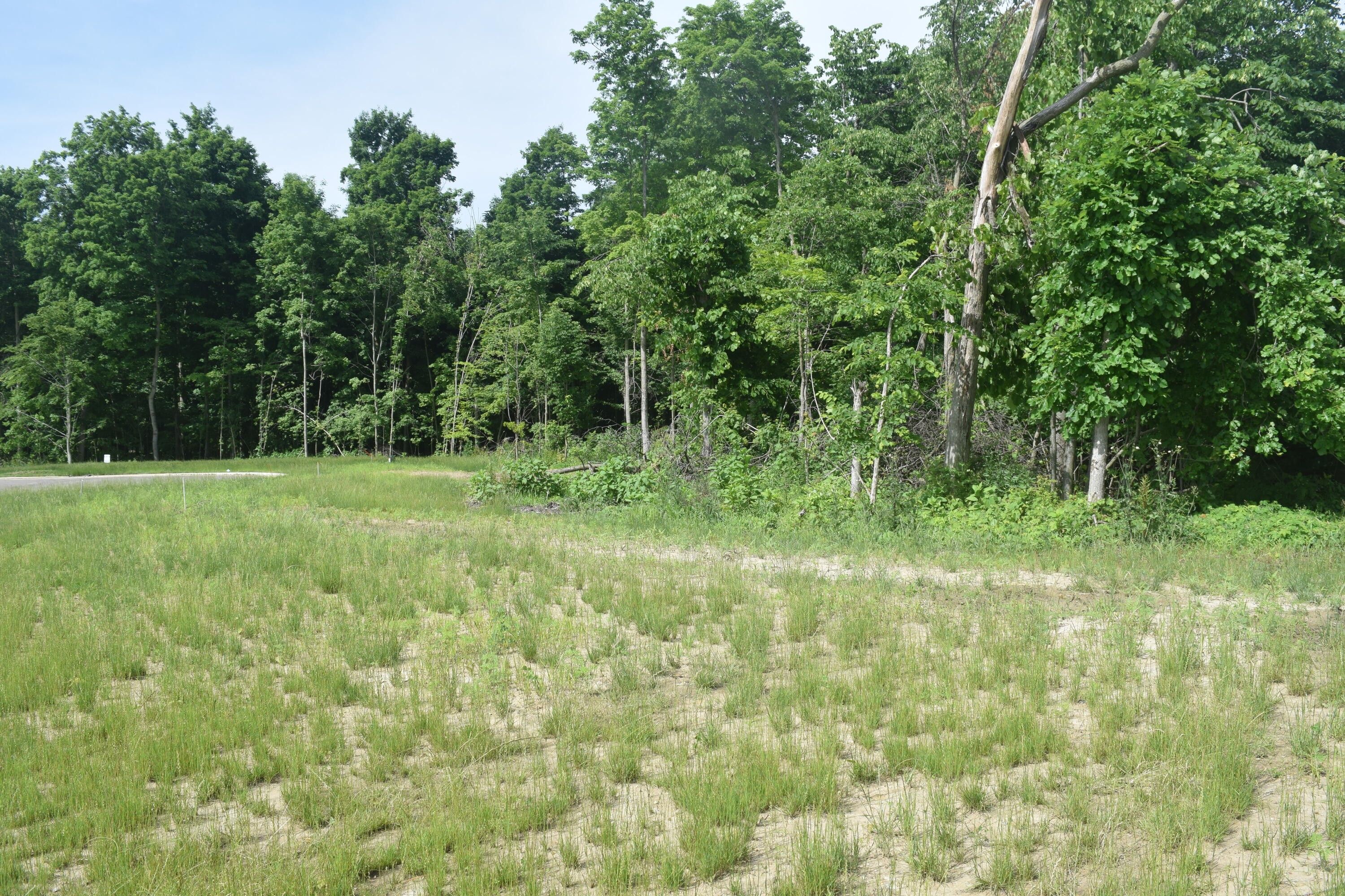 Hudsonville, Ottawa County, MI Undeveloped Land, Homesites for sale