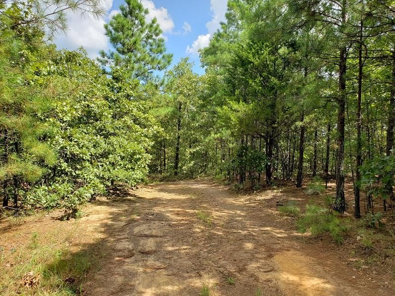 Leflore, Le Flore County, OK Recreational Property, Hunting Property for sale Property ID