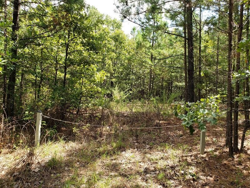 Leflore, Le Flore County, OK Recreational Property, Hunting Property for sale Property ID