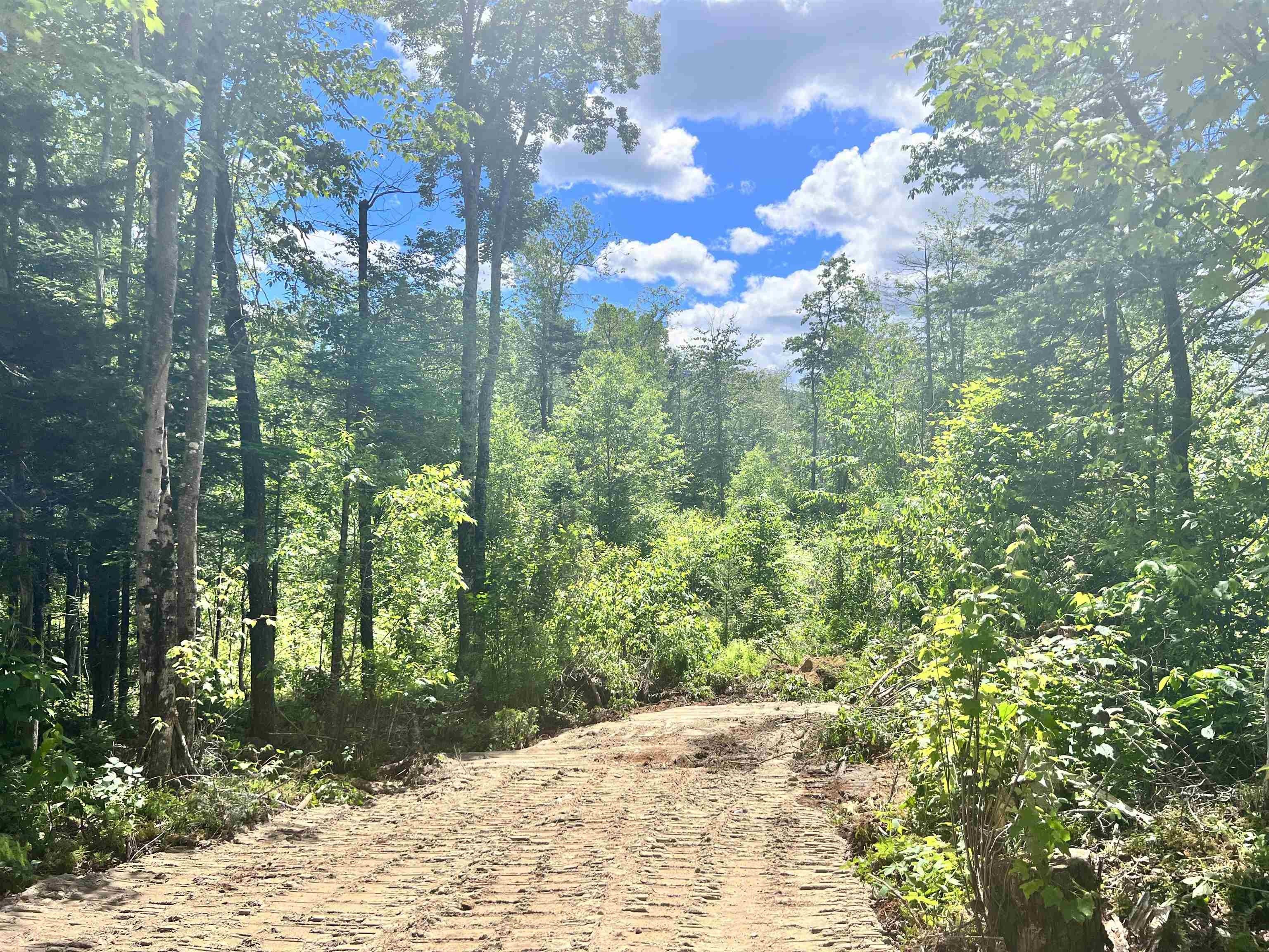 Milan, Coos County, NH Undeveloped Land for sale Property ID 413920939