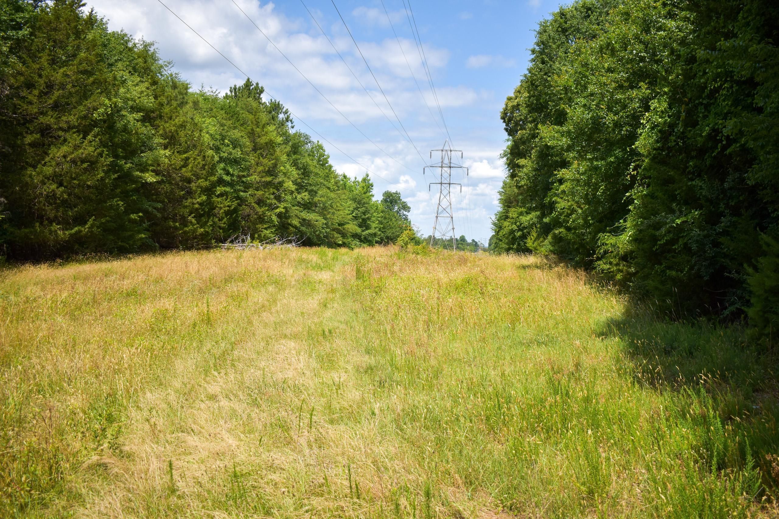 Jonesville, Union County, SC Recreational Property, Timberland Property