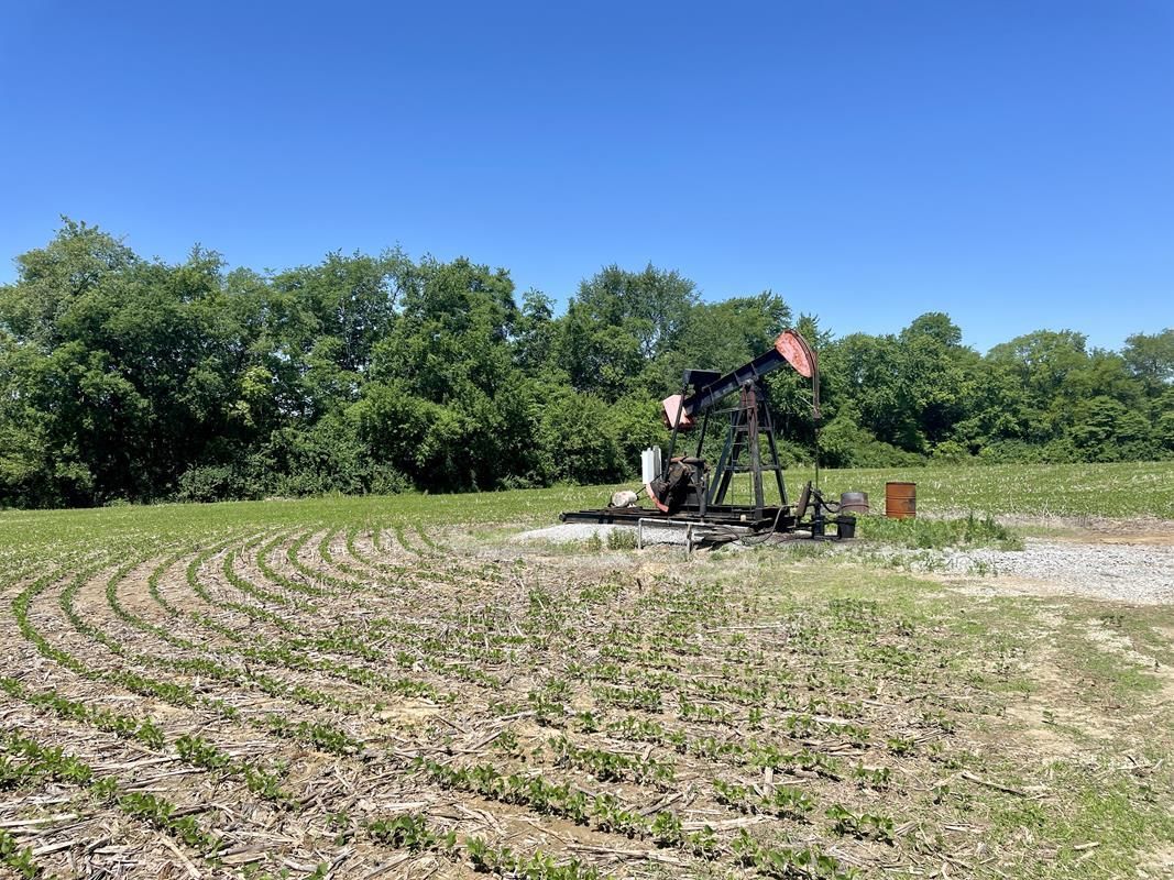 Mount Carmel, Wabash County, IL Farms and Ranches for auction Property