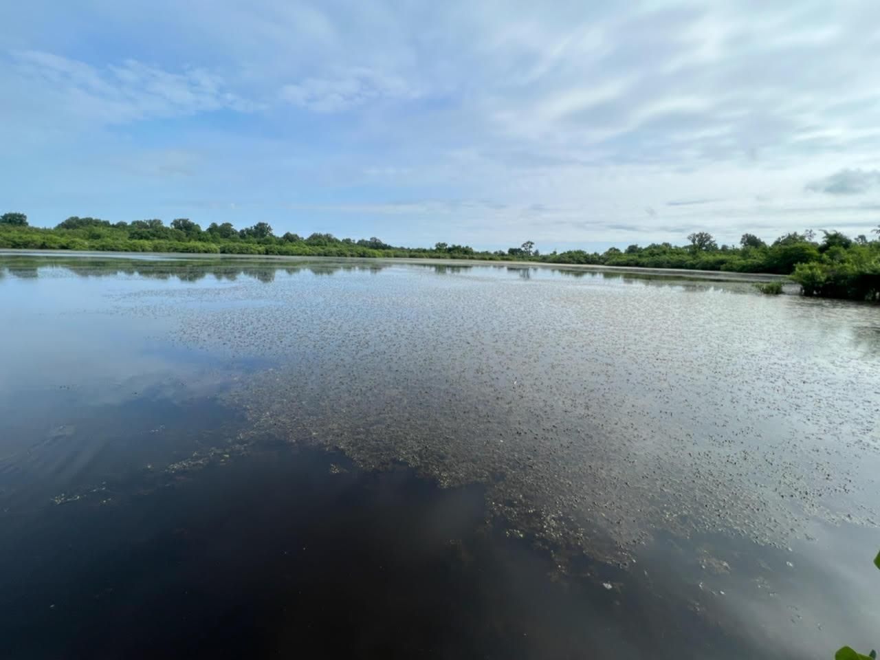 Annona, Red River County, TX Farms and Ranches, Undeveloped Land