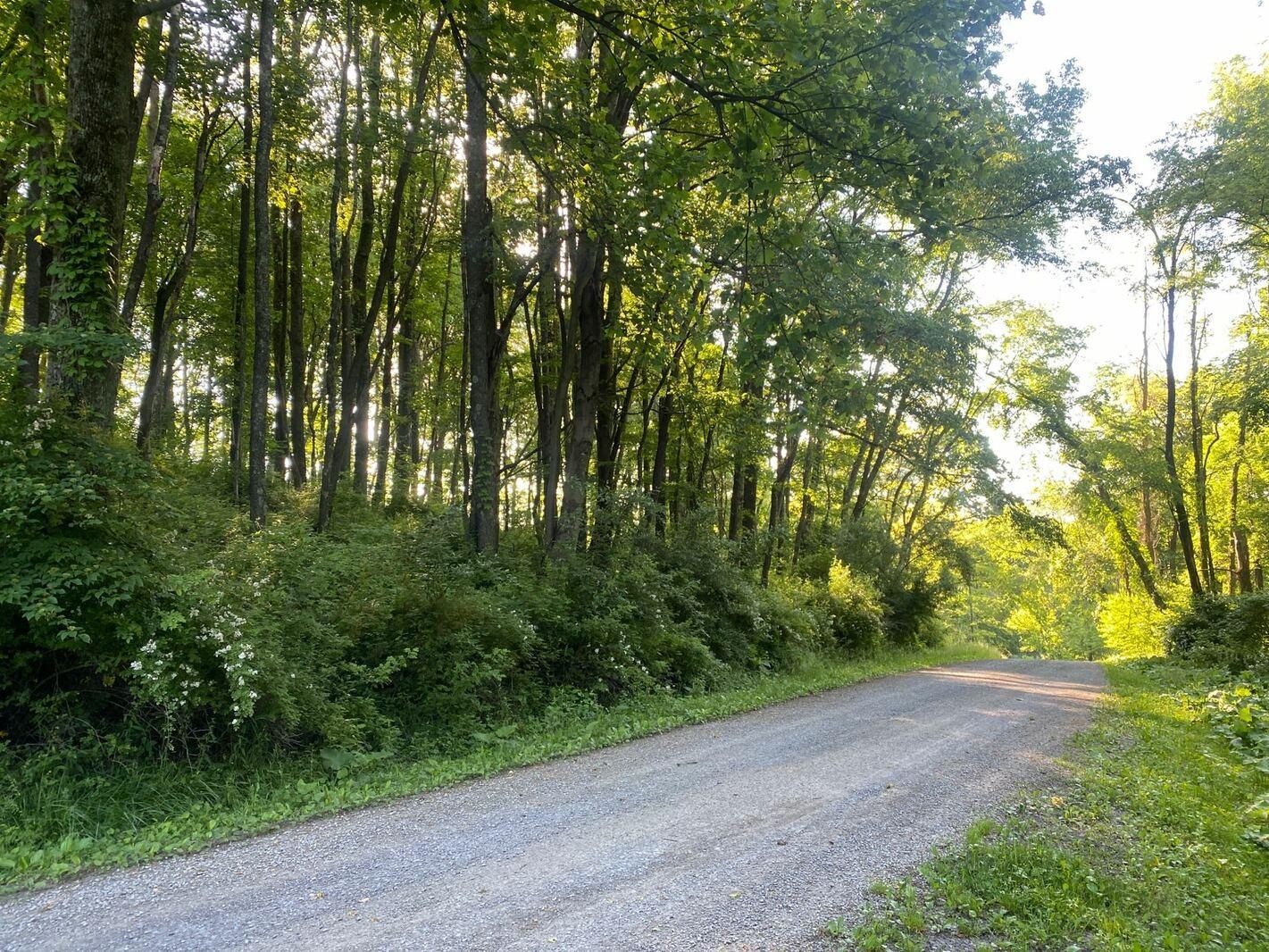 Bruceton Mills, Preston County, WV Undeveloped Land, Homesites for sale