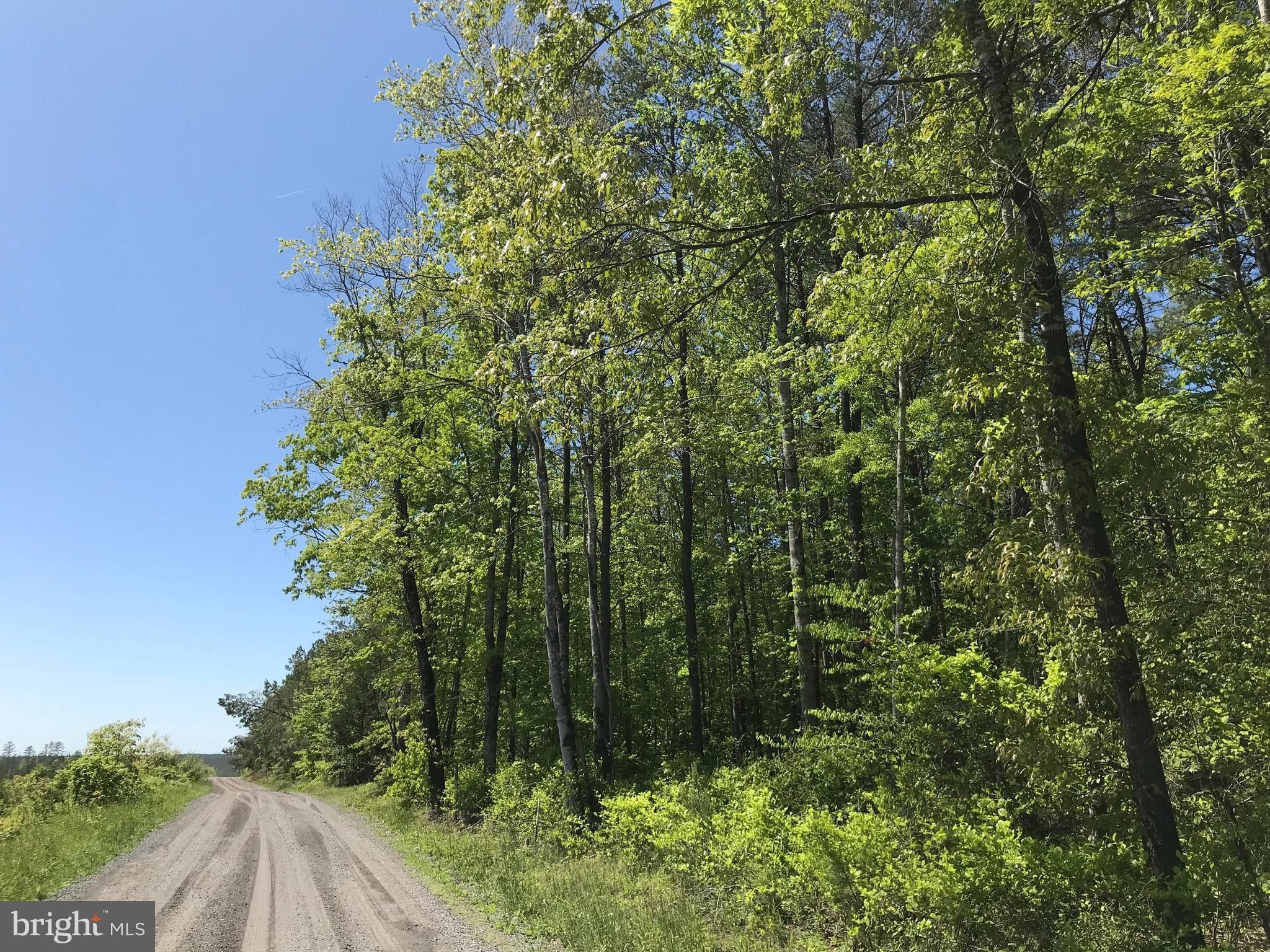 Richardsville, Culpeper County, VA Undeveloped Land for sale Property