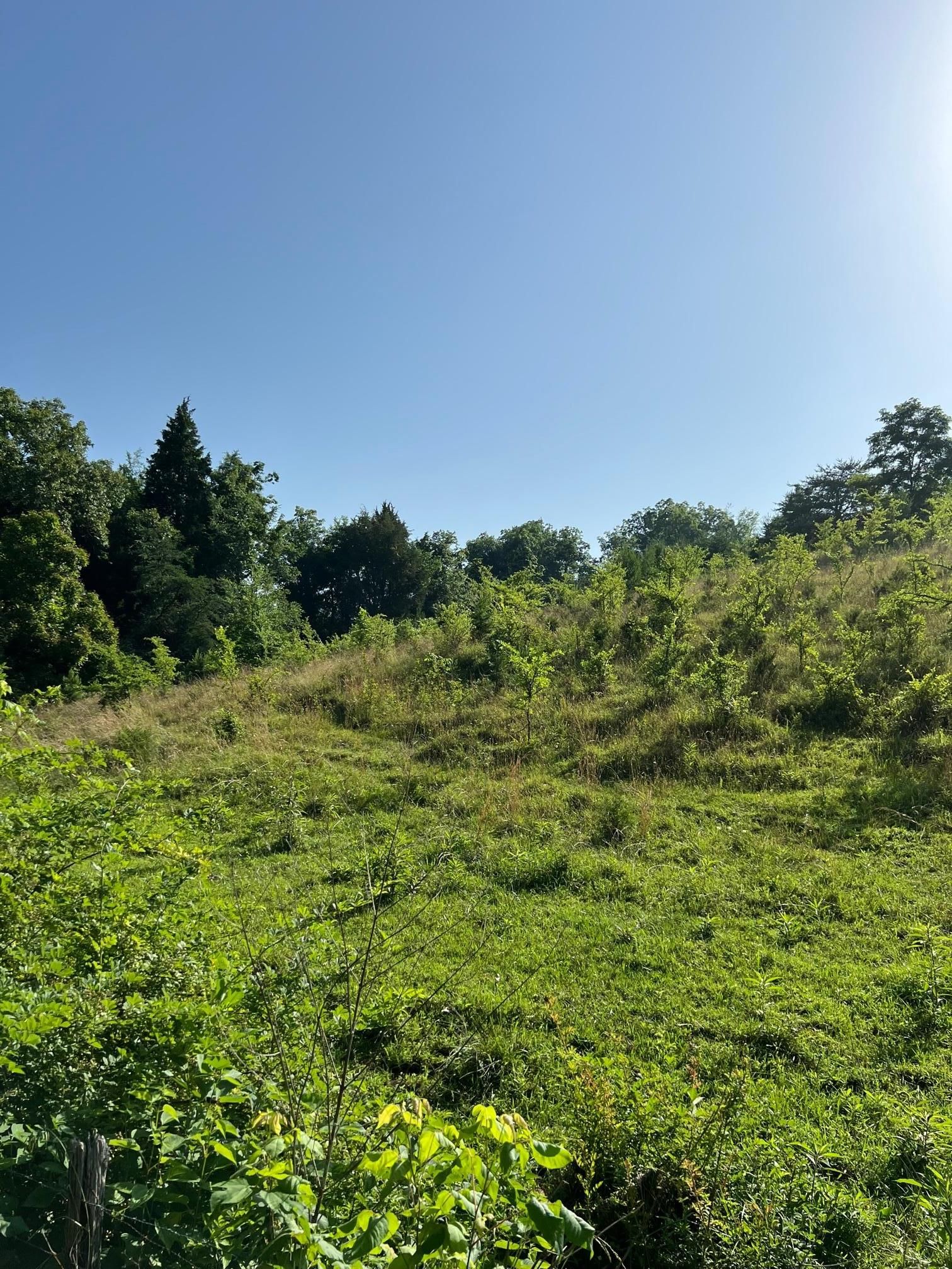 Bulls Gap, Hawkins County, TN Farms and Ranches, Horse Property for