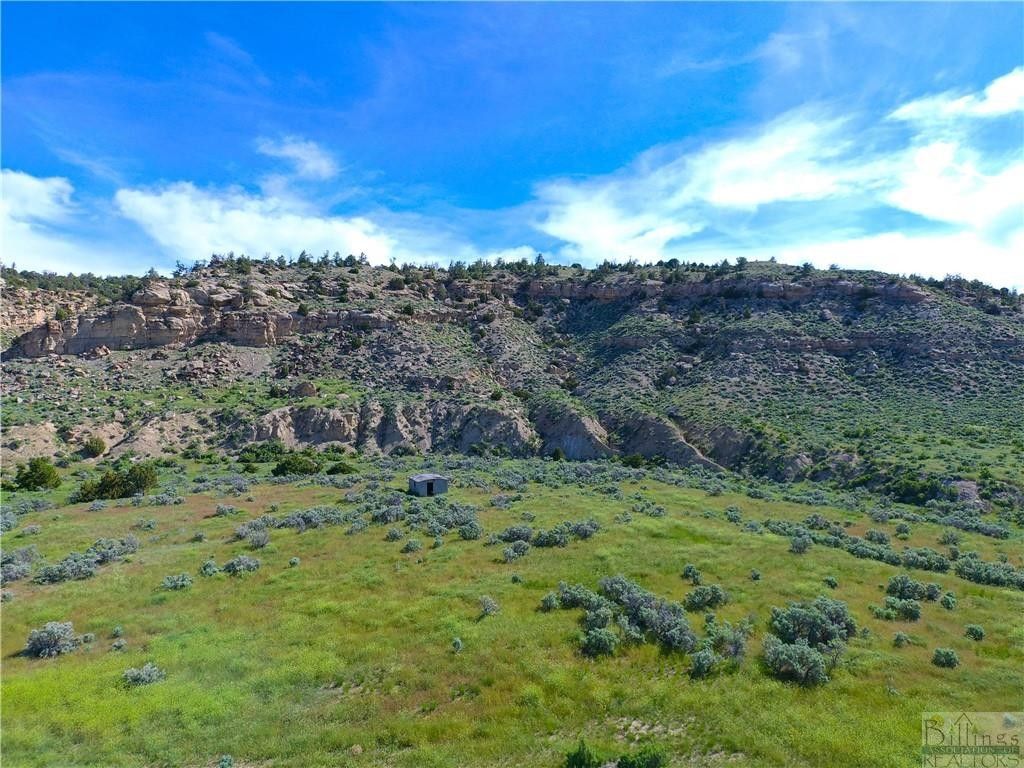 Bridger, Carbon County, MT Undeveloped Land for sale Property ID