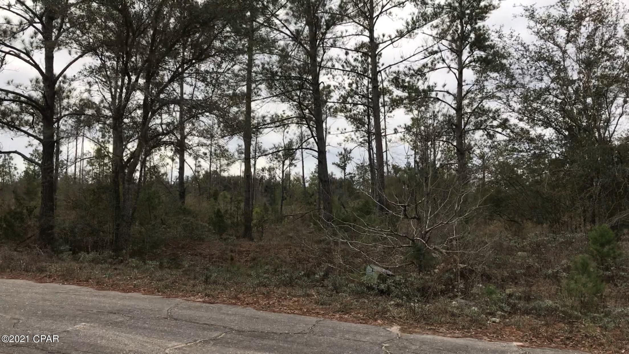 Marianna, Jackson County, FL Undeveloped Land, Homesites for sale Property ID 413927488 LandWatch