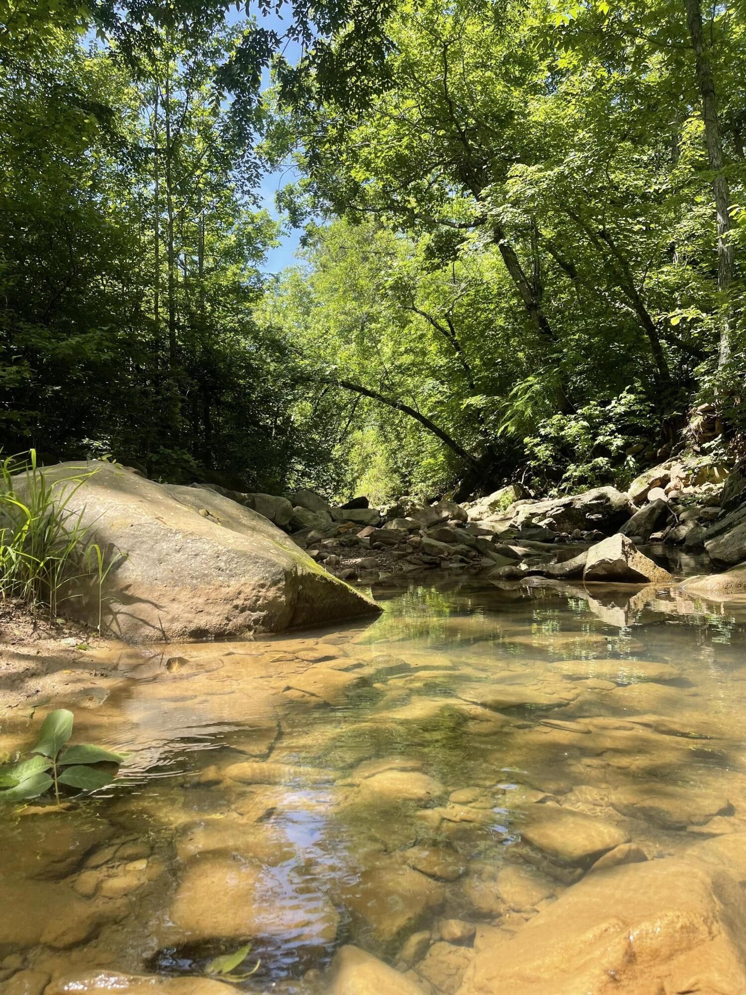 Harrison, Boone County, AR Undeveloped Land for sale Property ID