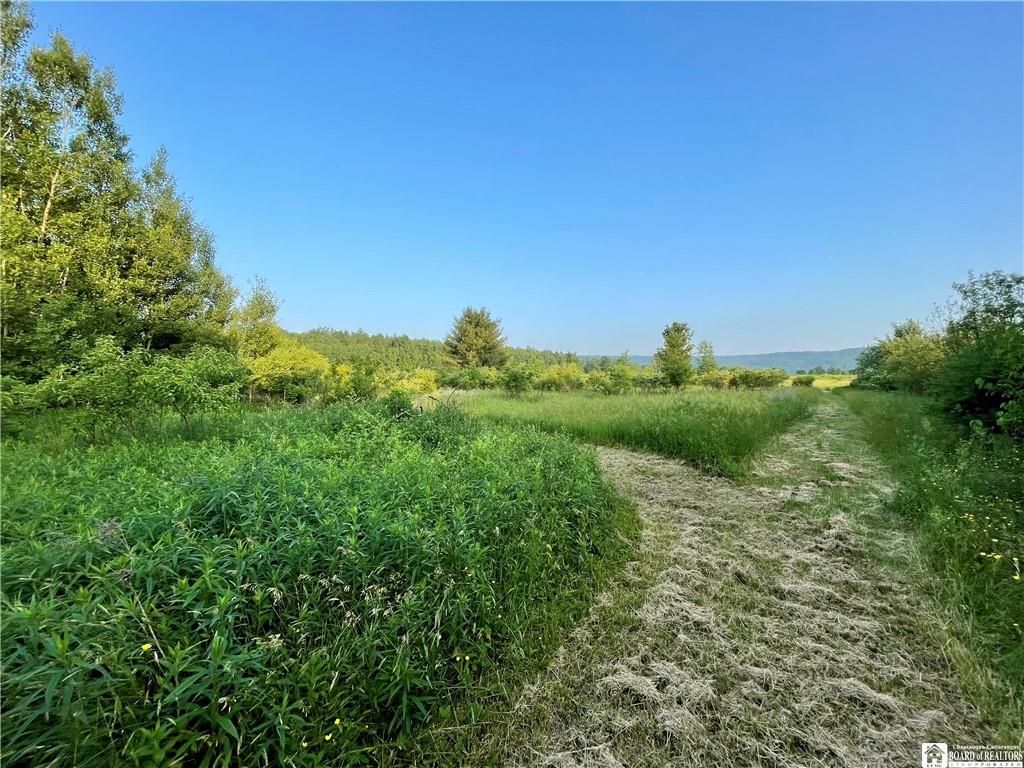 Frewsburg, Chautauqua County, NY Undeveloped Land for sale Property ID