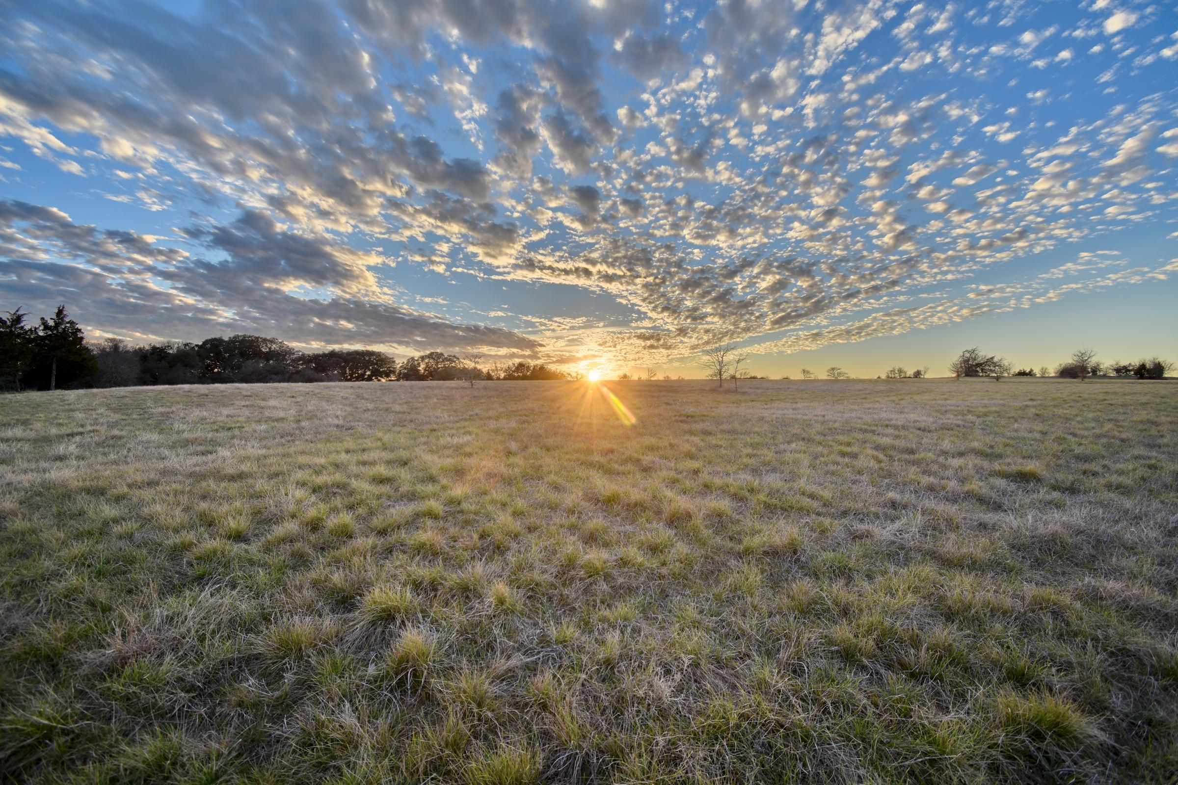 New Ulm, Austin County, TX Recreational Property for sale Property ID 412378550 LandWatch