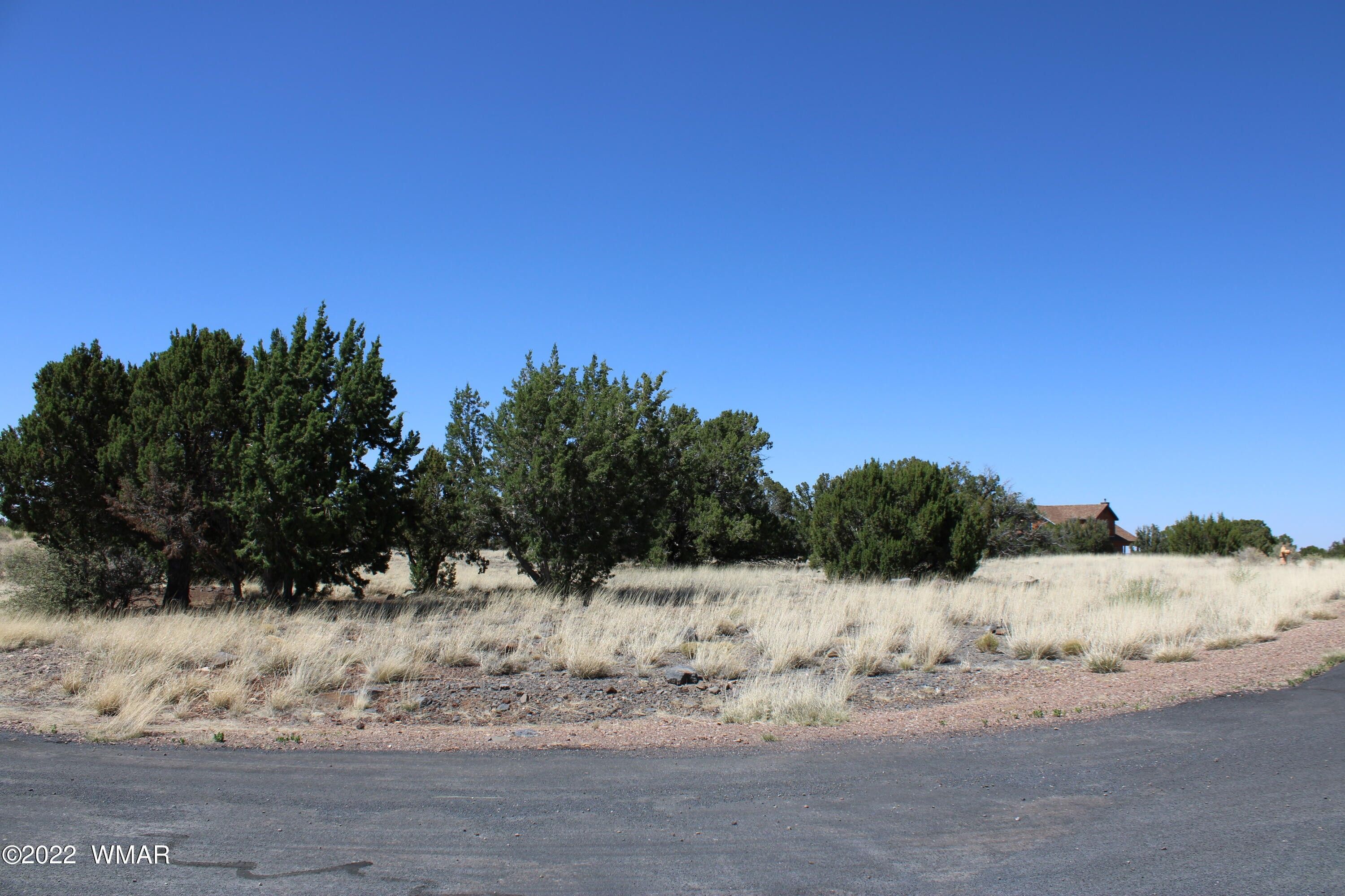 Show Low, Navajo County, AZ Undeveloped Land, Homesites for sale