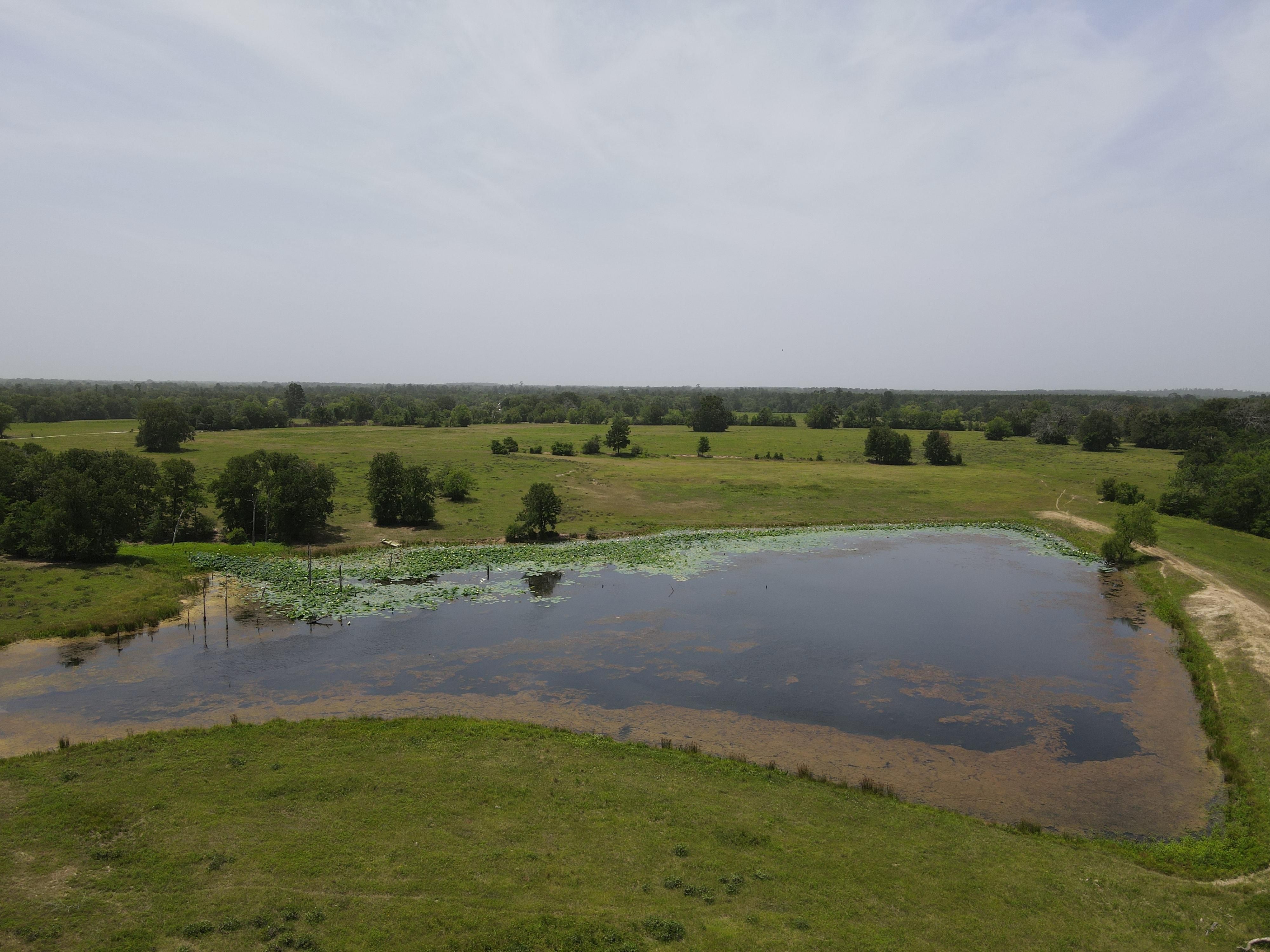 Lovelady, Houston County, TX Farms and Ranches, Hunting Property for