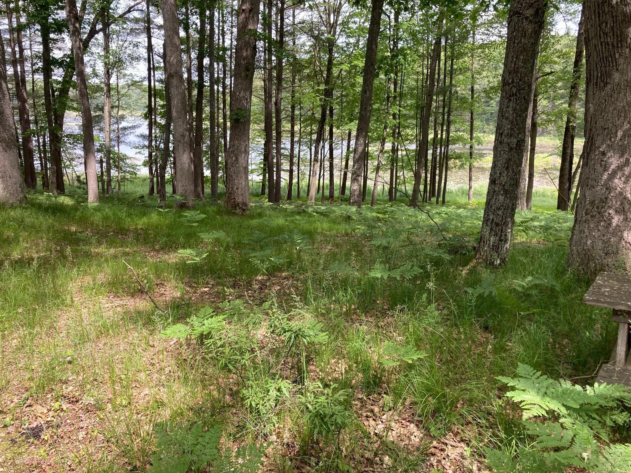 Irons, Lake County, MI Undeveloped Land, Lakefront Property, Waterfront