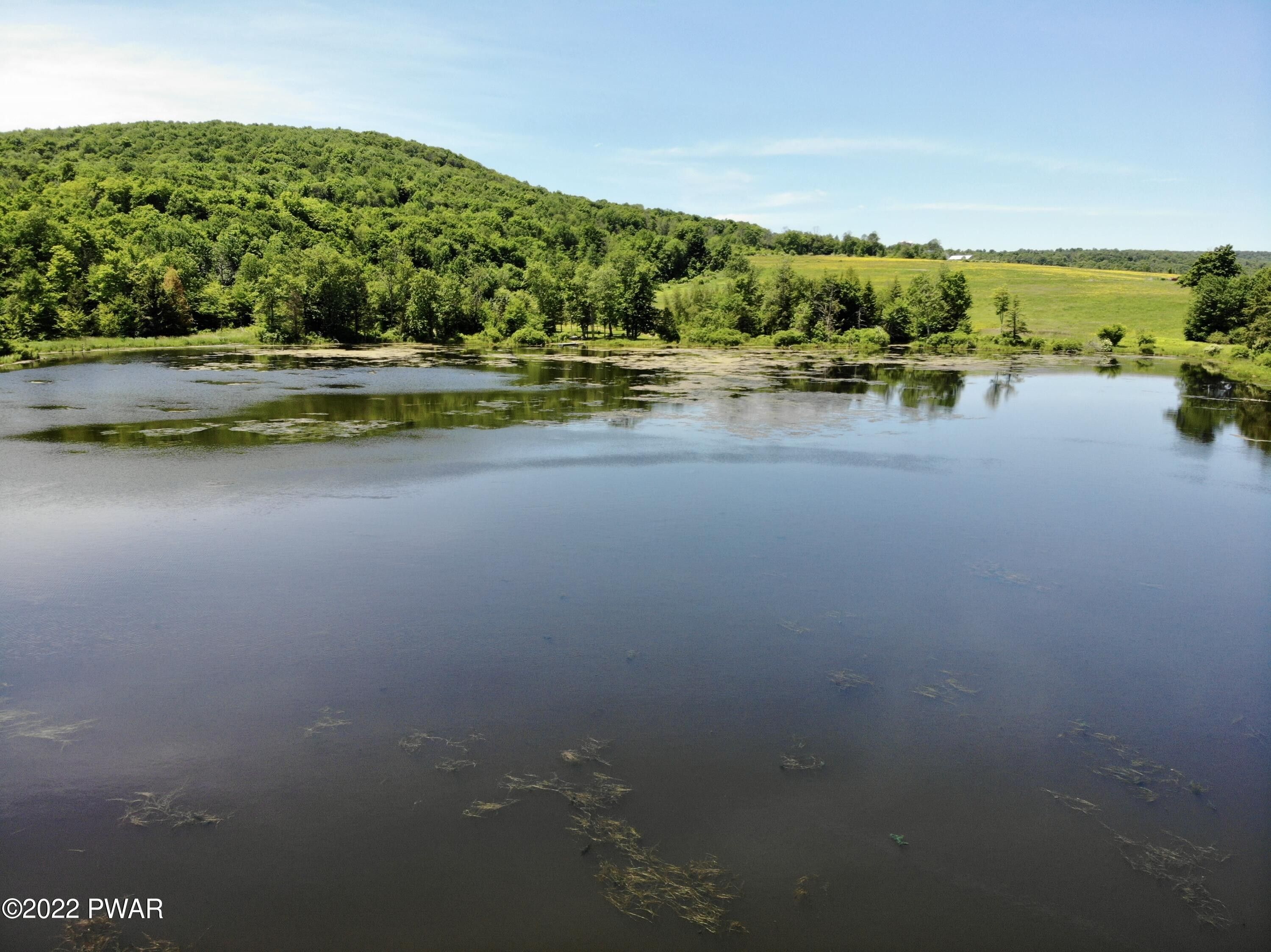 Pleasant Mount, Wayne County, PA Undeveloped Land, Lakefront Property