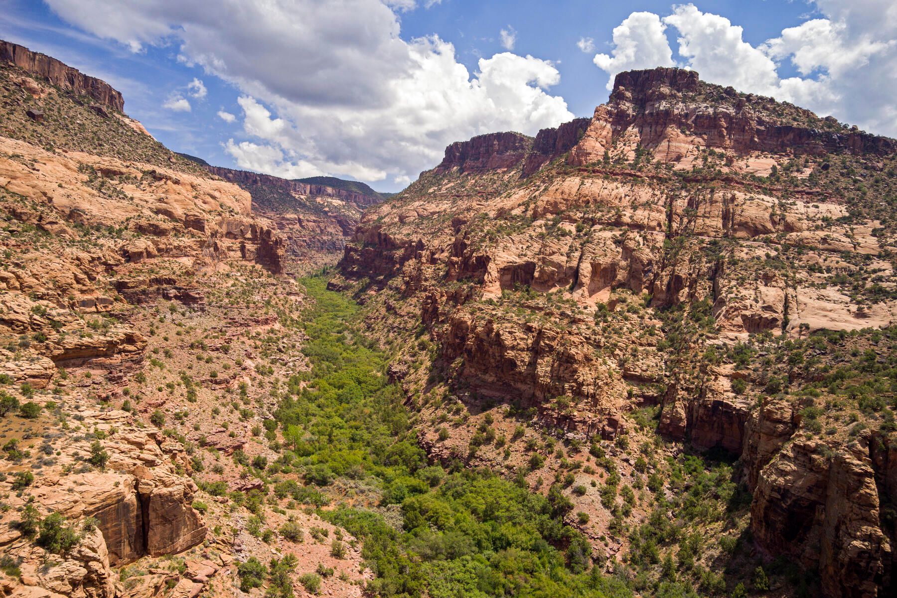 Moab, Grand County, UT Undeveloped Land for sale Property ID 412552713