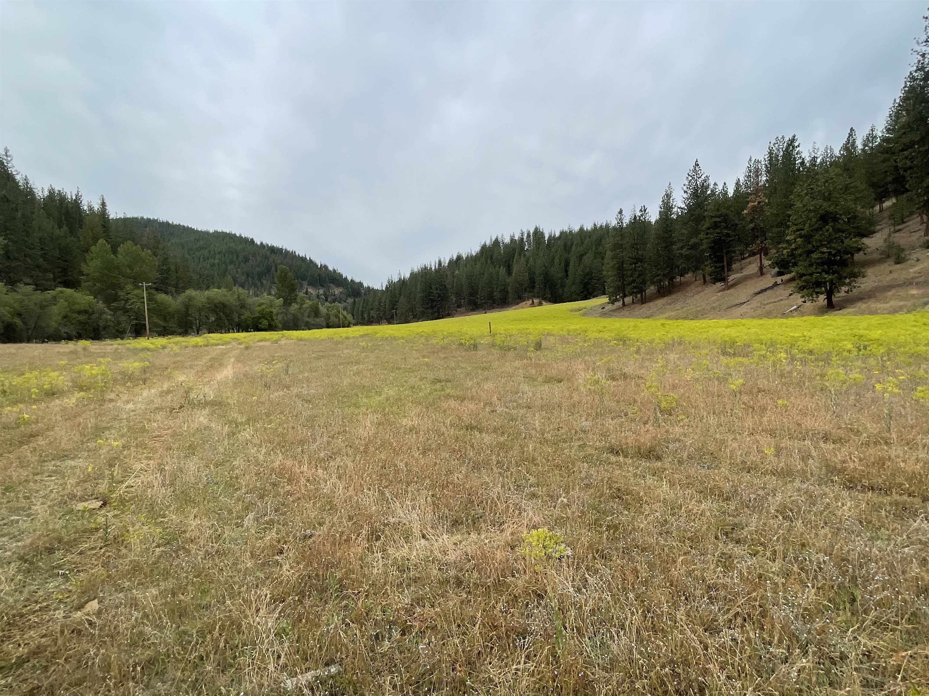 Fort Jones, Siskiyou County, CA Undeveloped Land, Lakefront Property