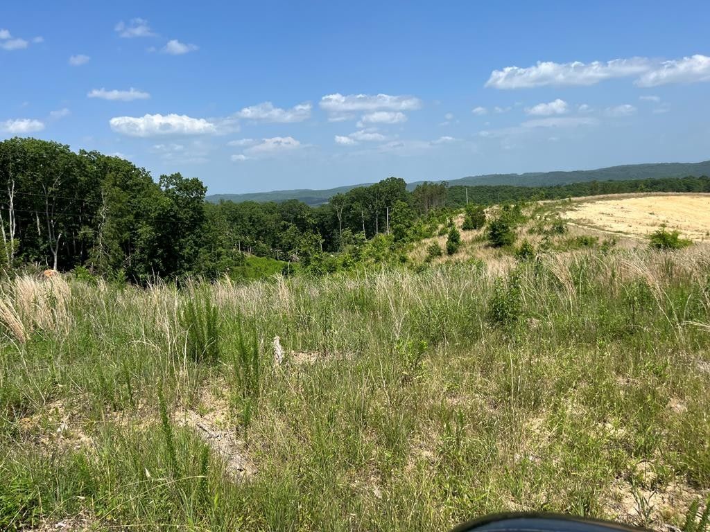 Athens, McMinn County, TN Undeveloped Land for sale Property ID