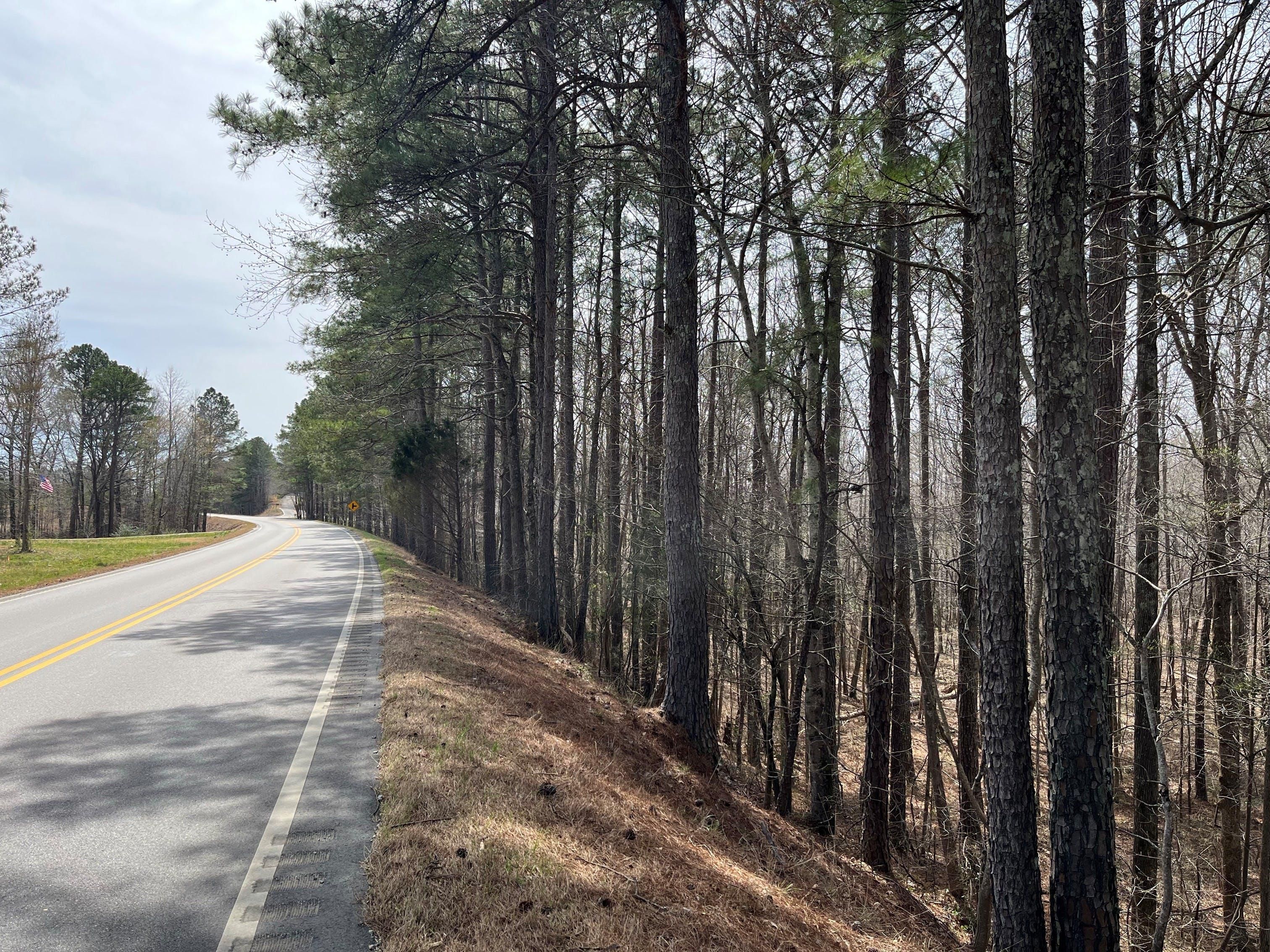 Red Bay, Franklin County, AL Recreational Property, Timberland Property