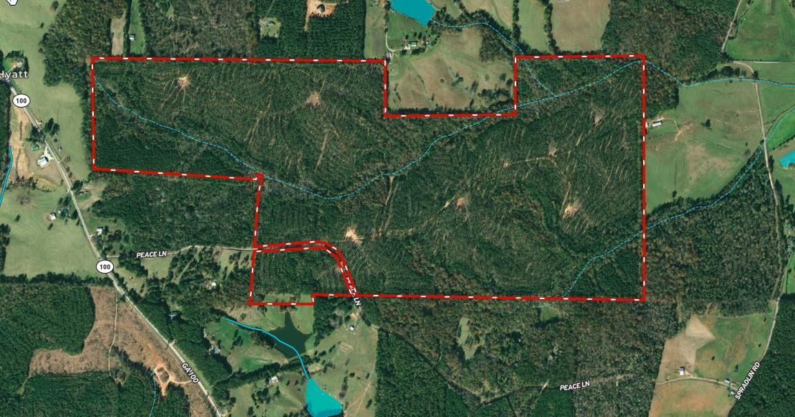Franklin, Heard County, GA Recreational Property, Timberland Property