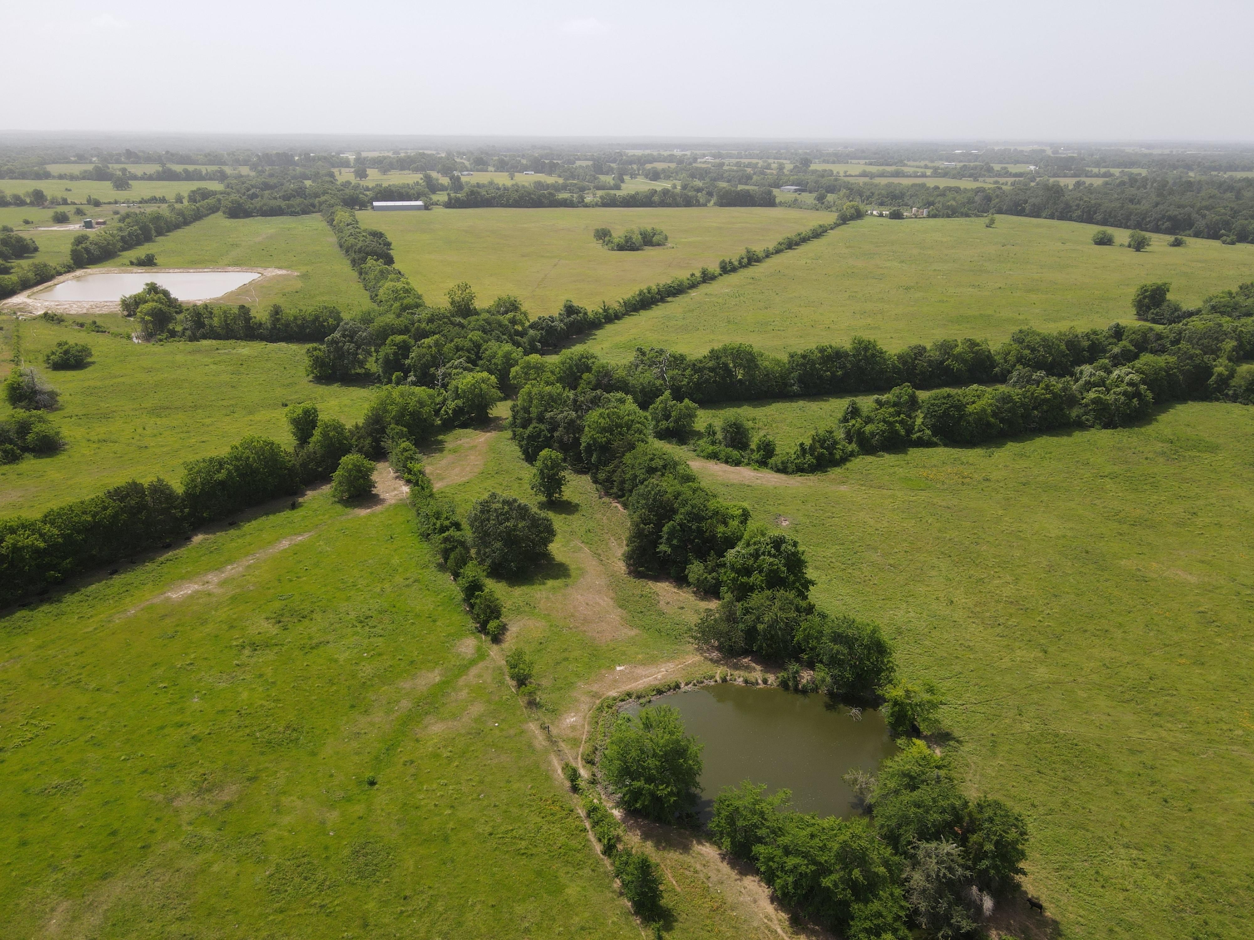 FM 2915 / CR 3495 (Hyde's Ferry Road), Lovelady, TX 75851 LandWatch