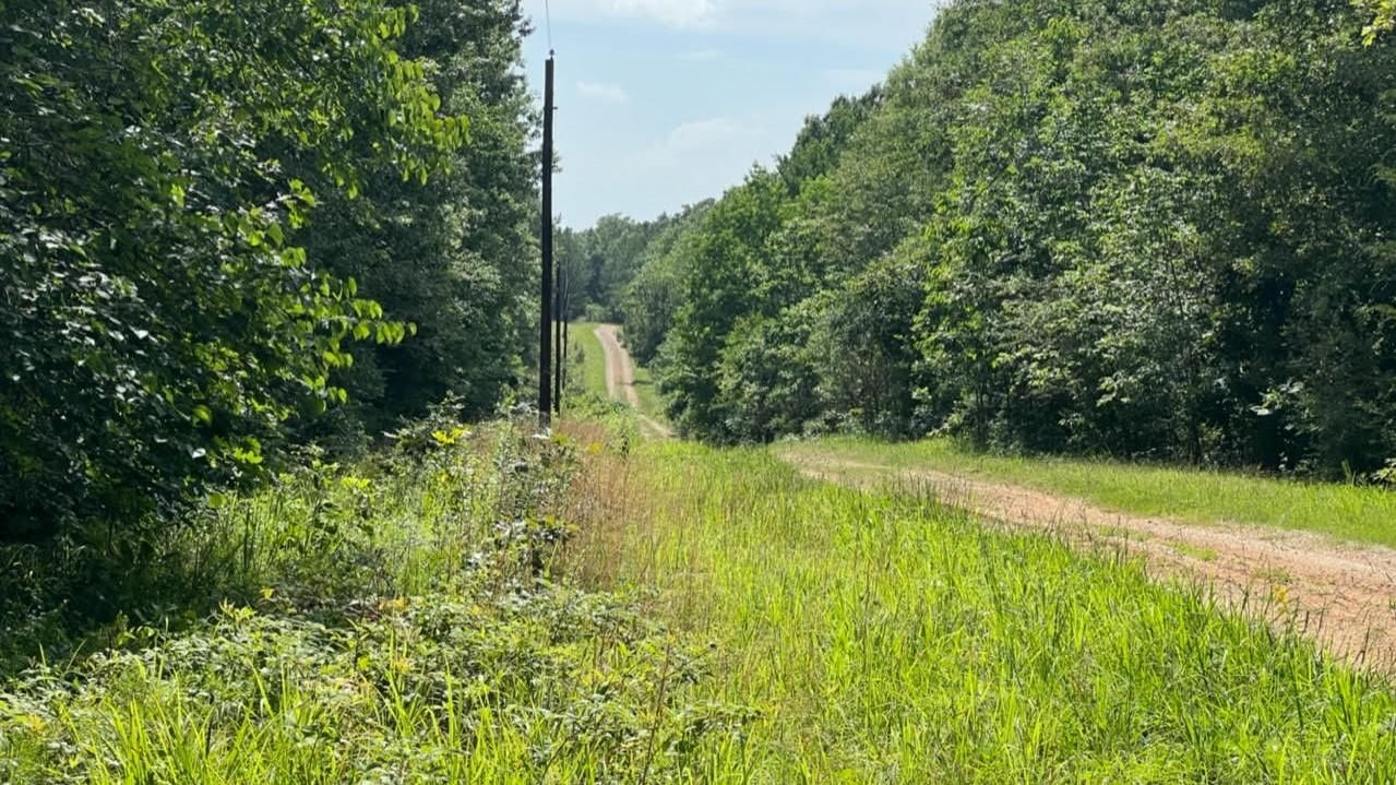 Annona, Red River County, TX Farms and Ranches, Undeveloped Land