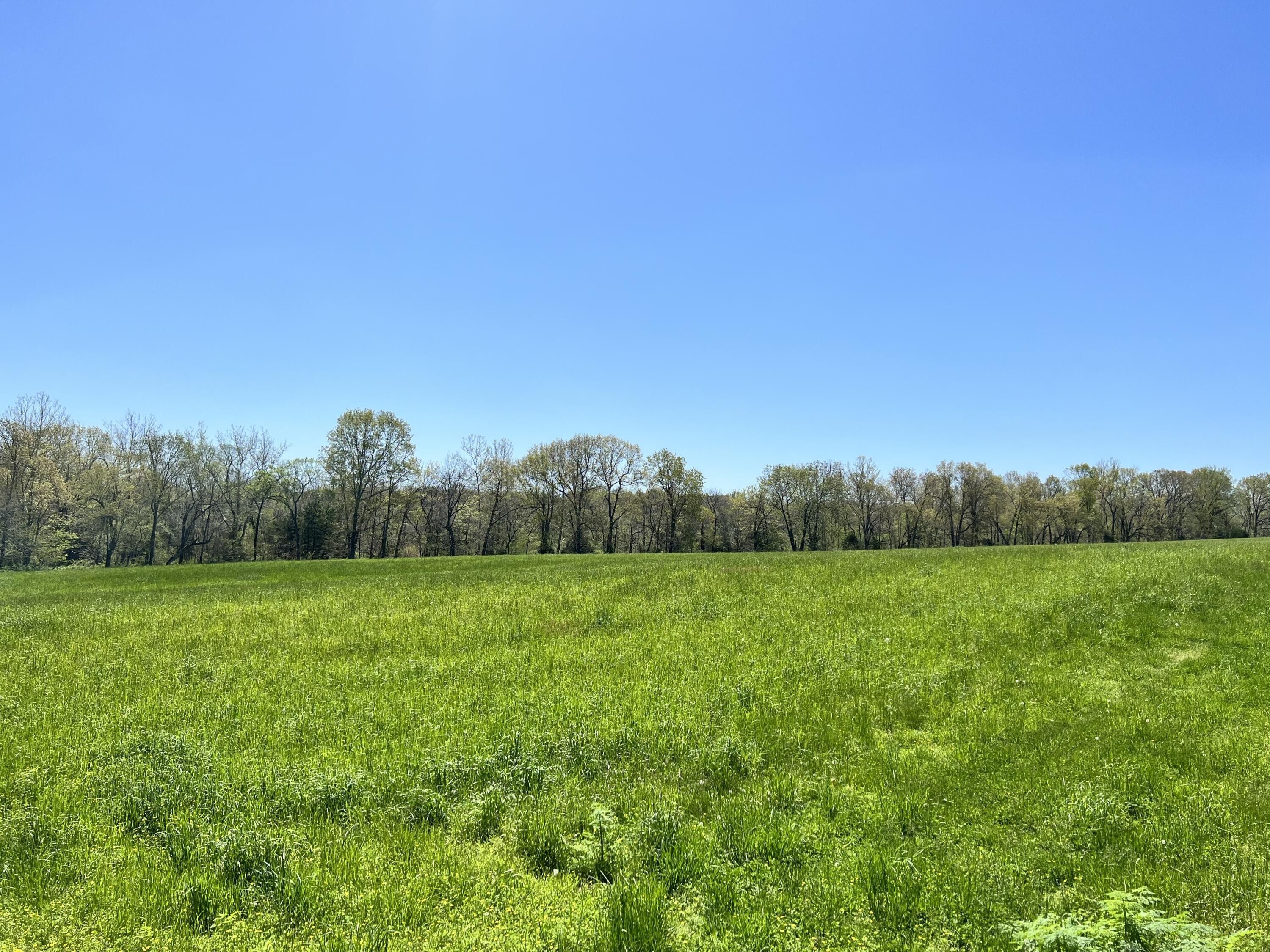Grovespring, Wright County, MO Undeveloped Land for sale Property ID