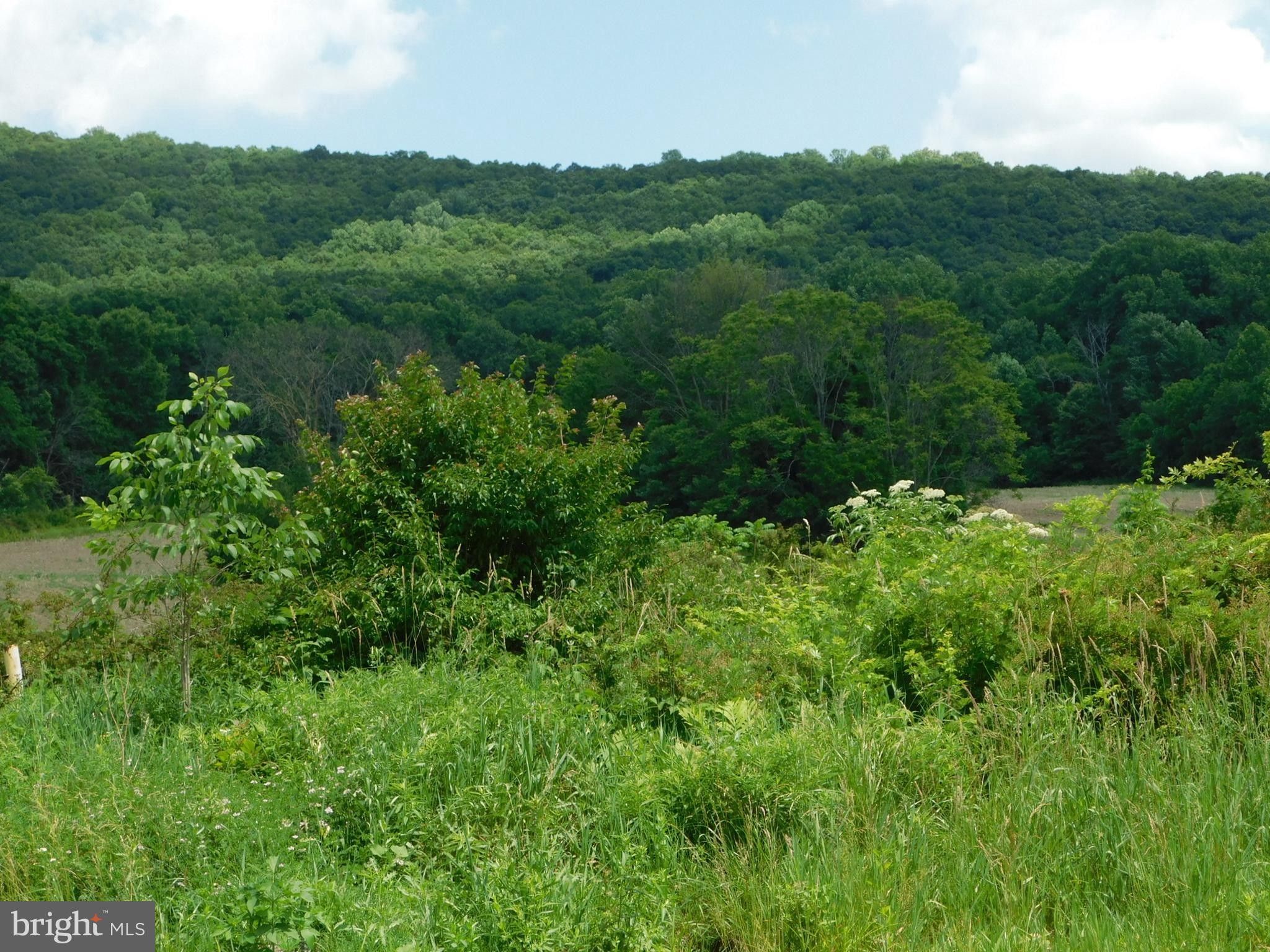 Boyertown, Berks County, PA Undeveloped Land for sale Property ID