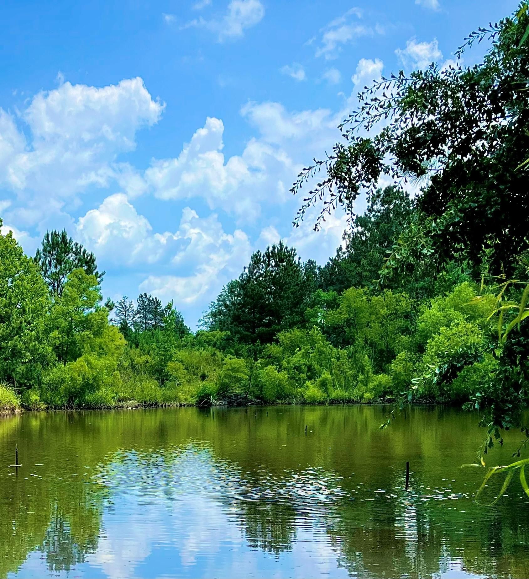 Pacolet, Cherokee County, SC Recreational Property, Timberland Property