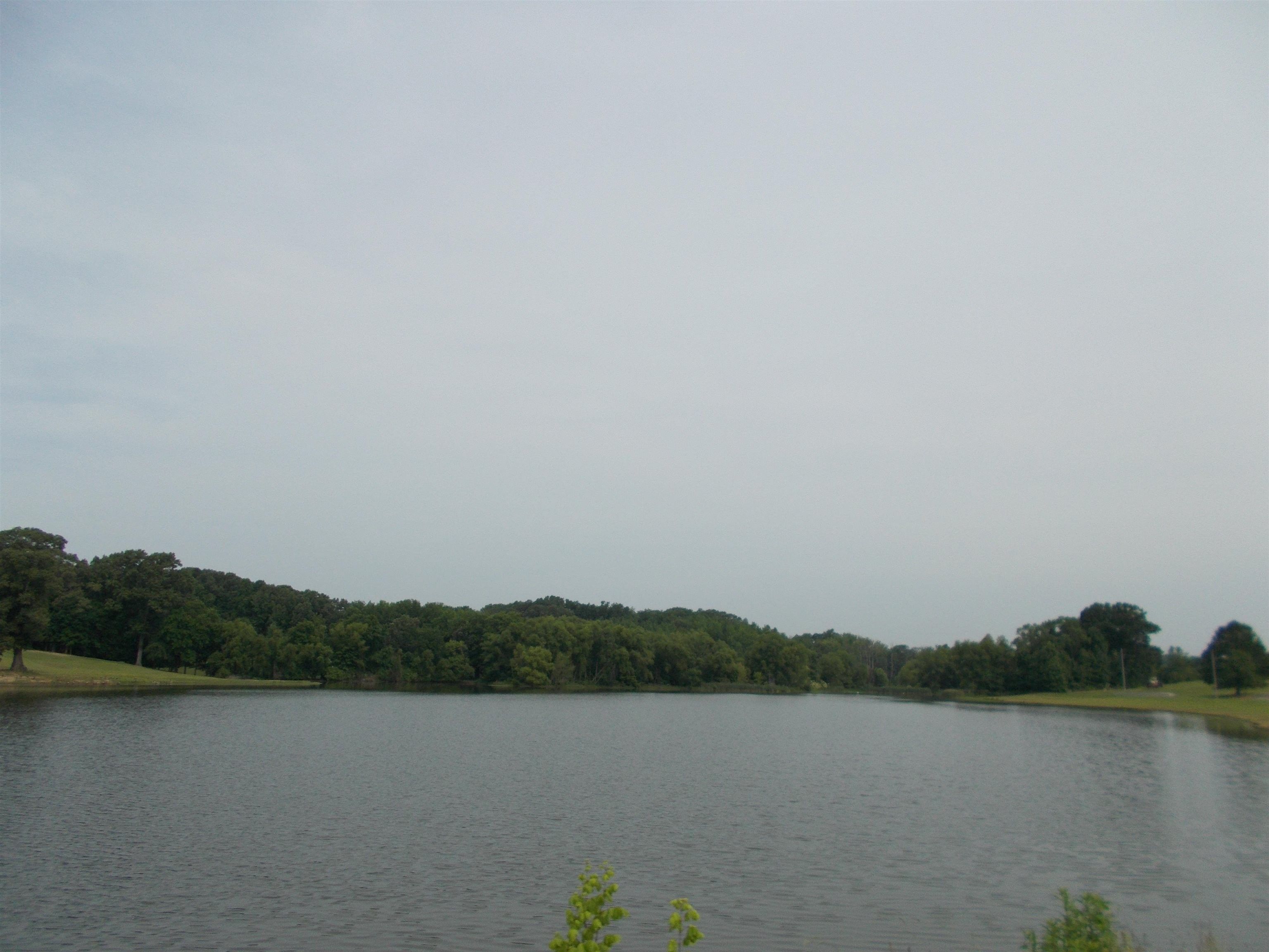 Ripley, Lauderdale County, TN Undeveloped Land for sale Property ID