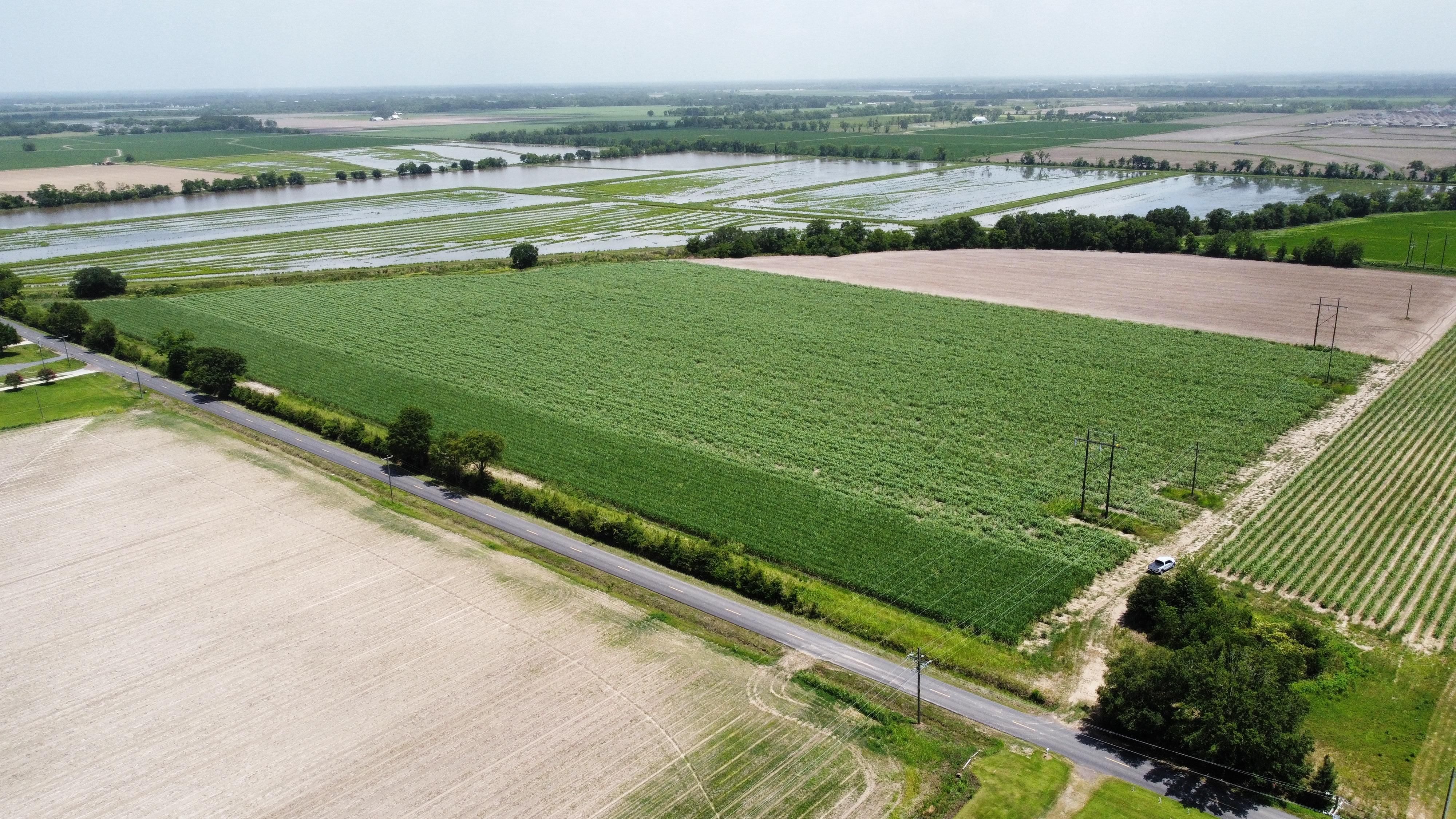 Rayne, Lafayette Parish, LA Farms and Ranches, Undeveloped Land