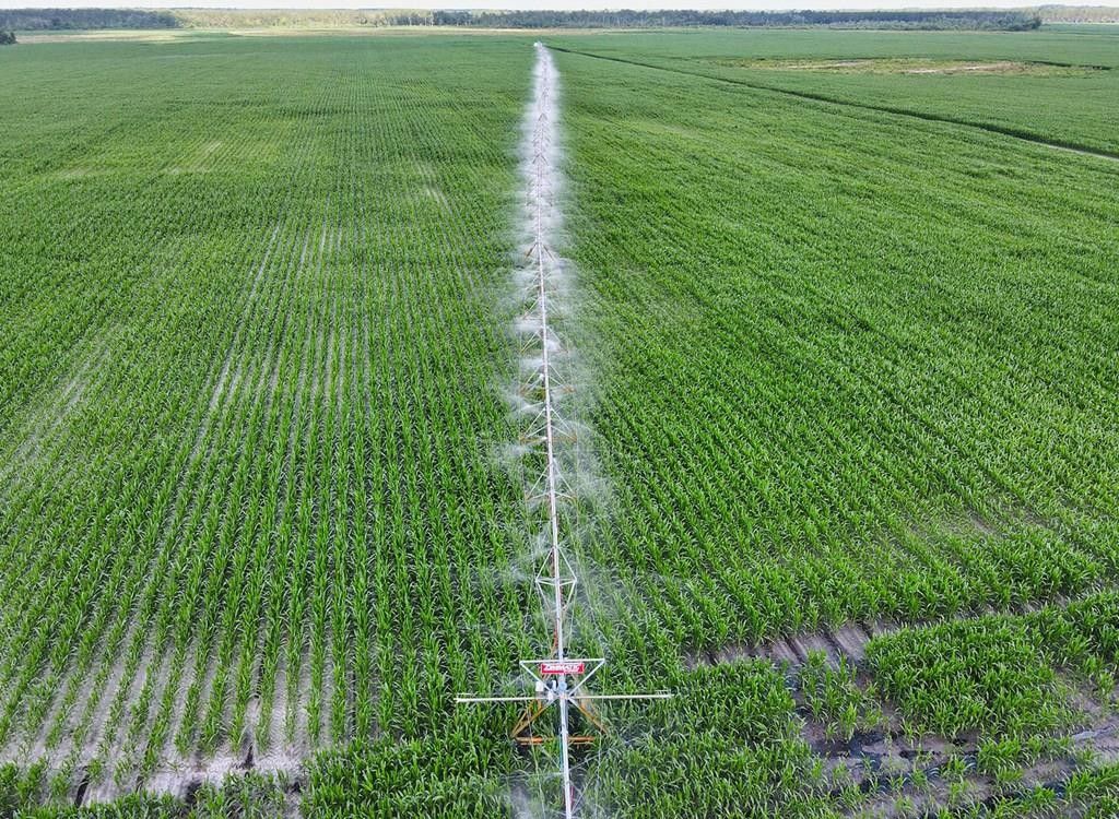 Lakeland, Lanier County, GA Undeveloped Land for sale Property ID