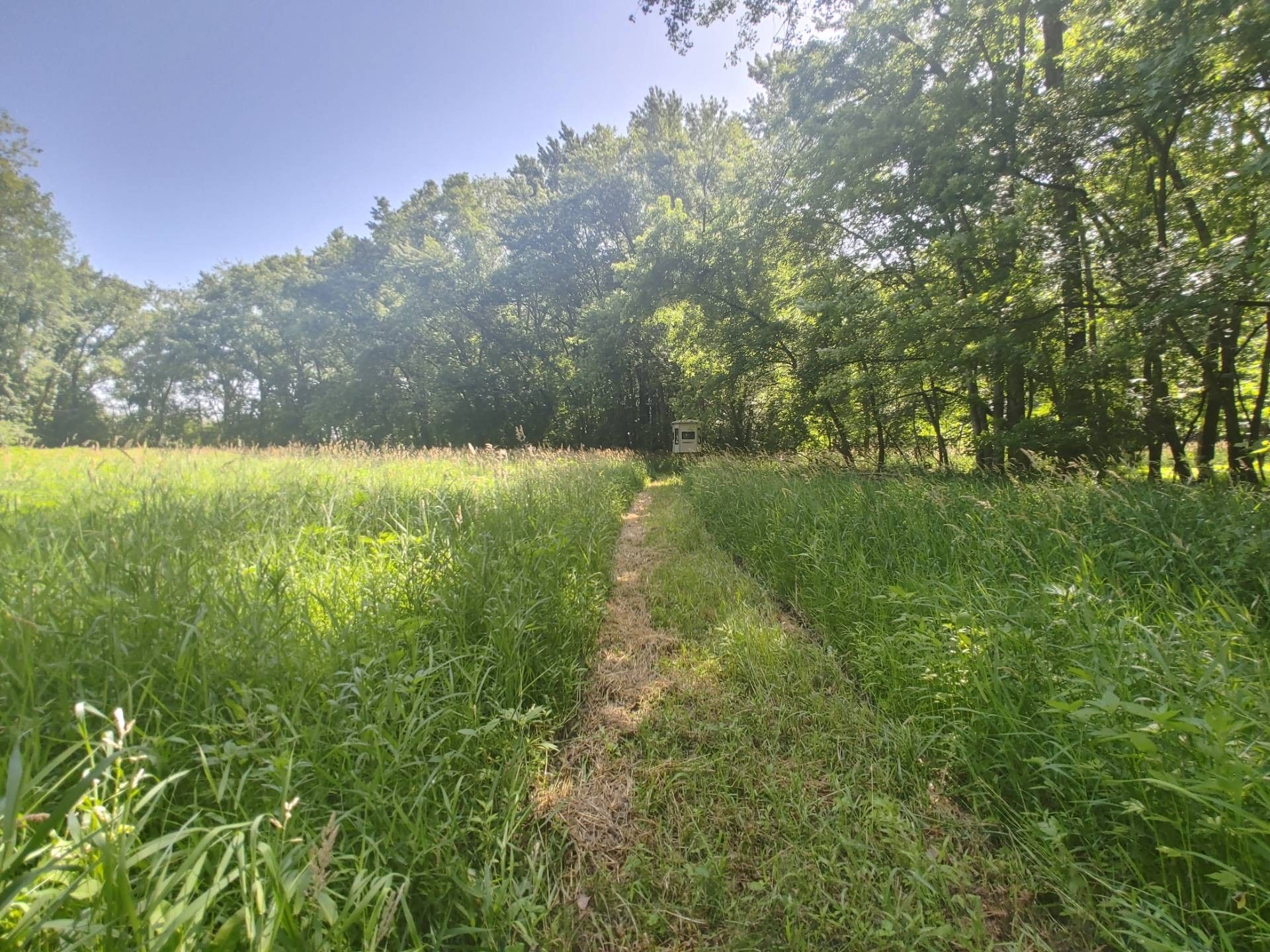 Avalon, Livingston County, MO Farms and Ranches for sale Property ID