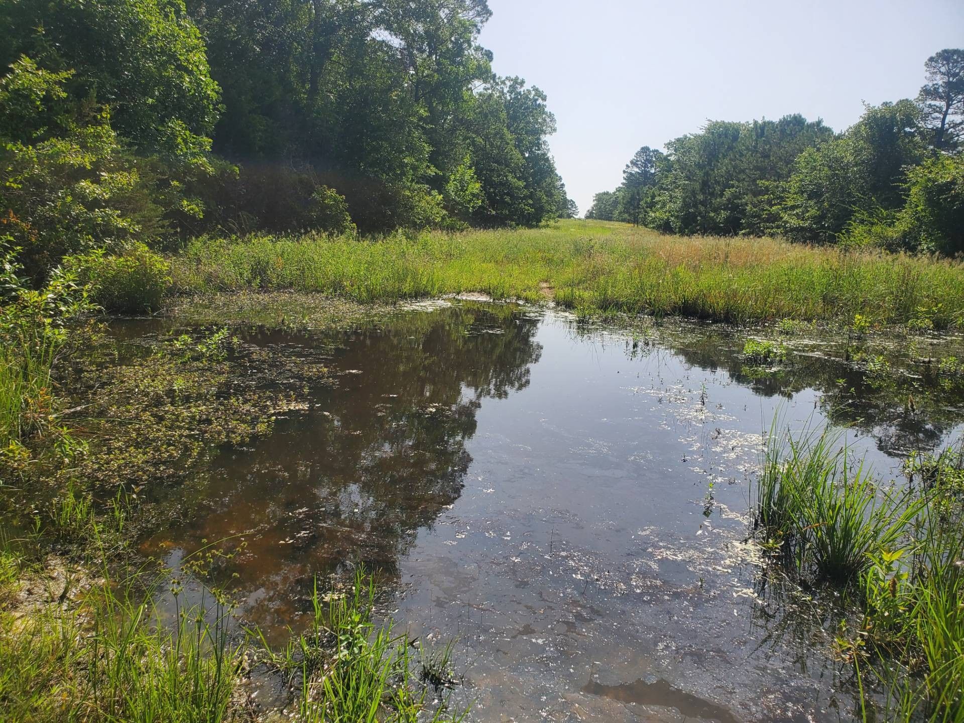 Atoka, Atoka County, OK Undeveloped Land, Lakefront Property