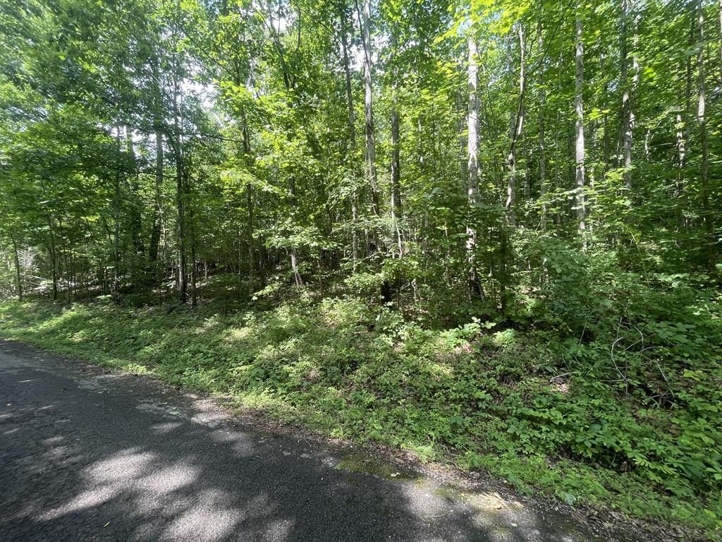 Big Rock, Stewart County, TN Undeveloped Land for sale Property ID