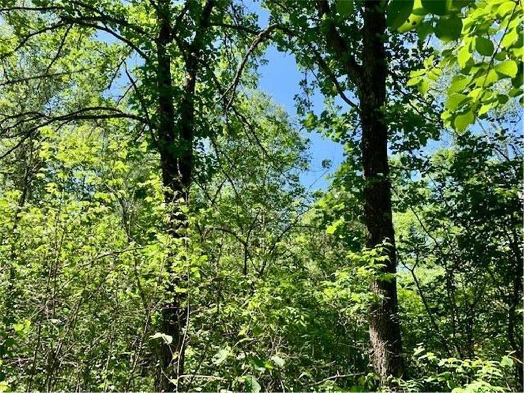 Sandstone, Pine County, MN Undeveloped Land for sale Property ID