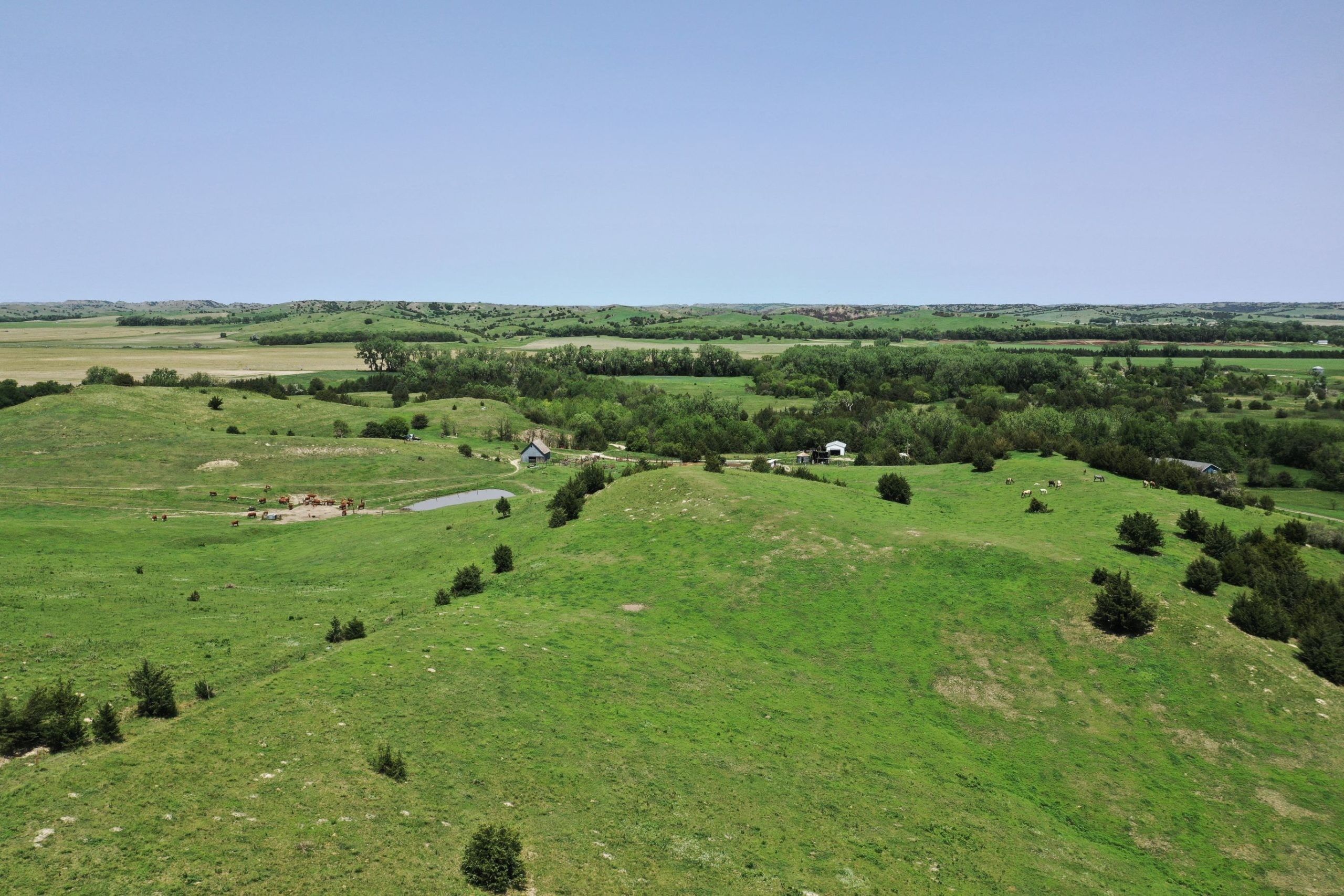 Callaway, Custer County, NE Farms and Ranches, House for sale Property