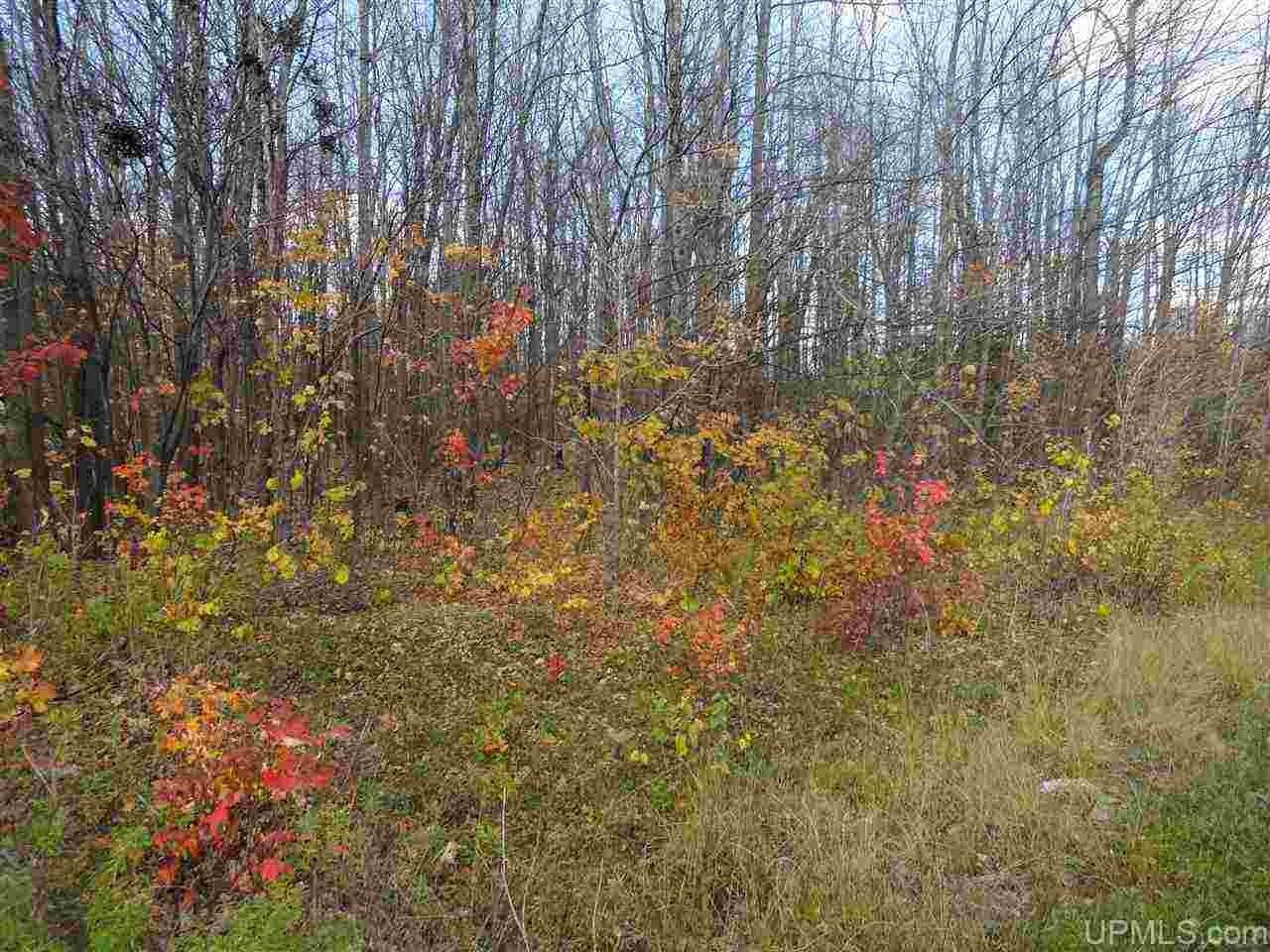 Bergland, Ontonagon County, MI Undeveloped Land, Homesites for sale
